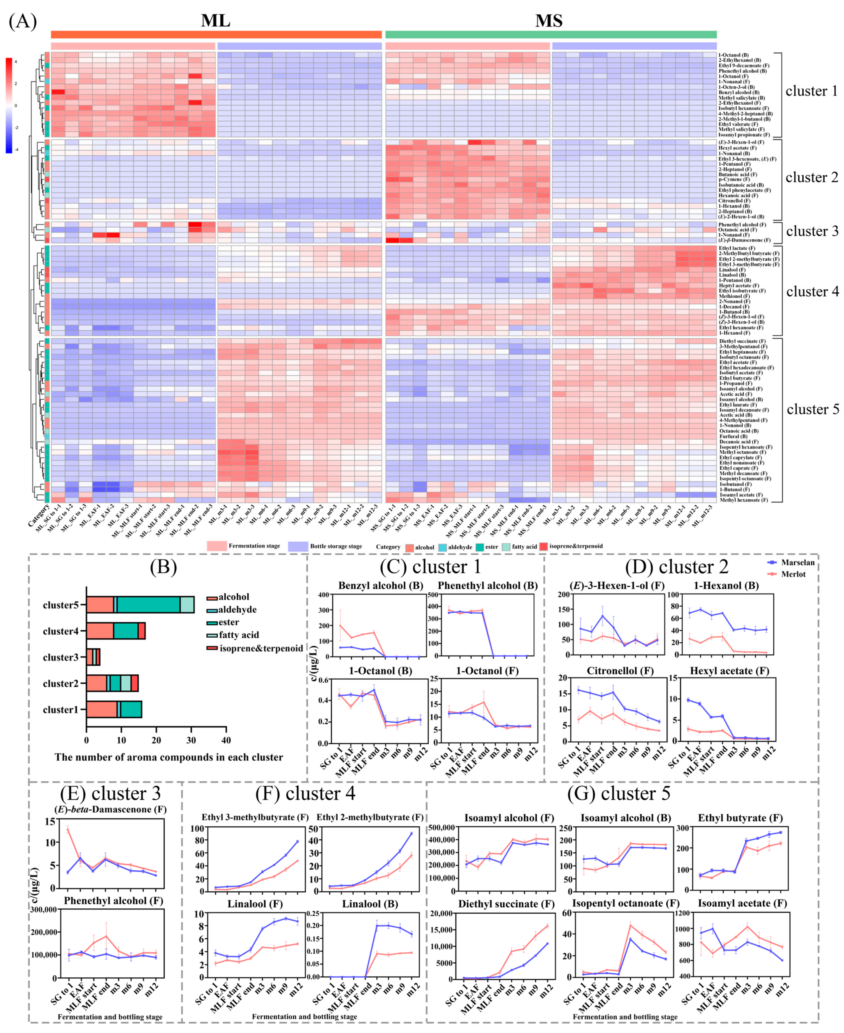 Molecules 29 03250 g002