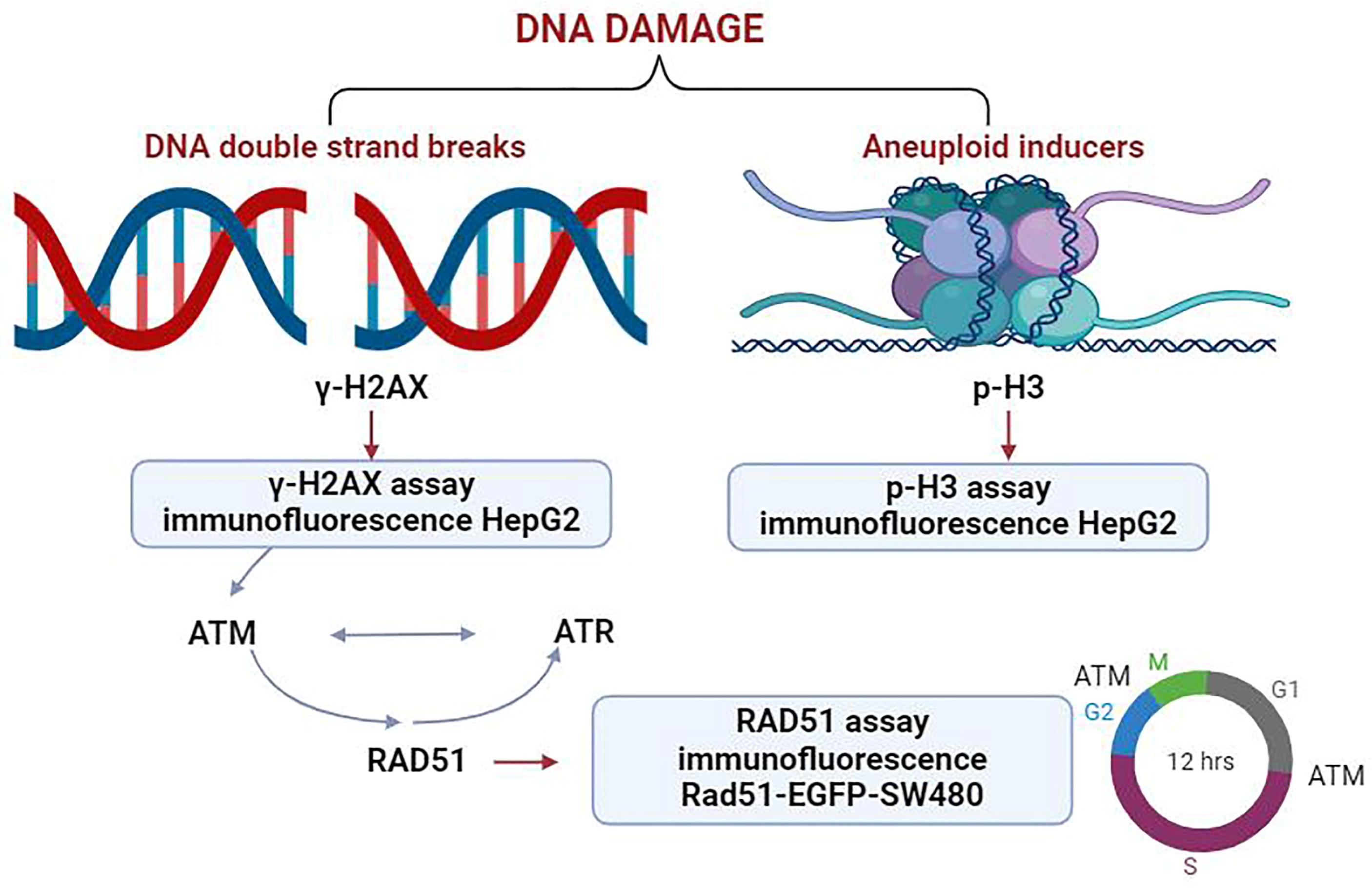 Molecules 29 03257 g001
