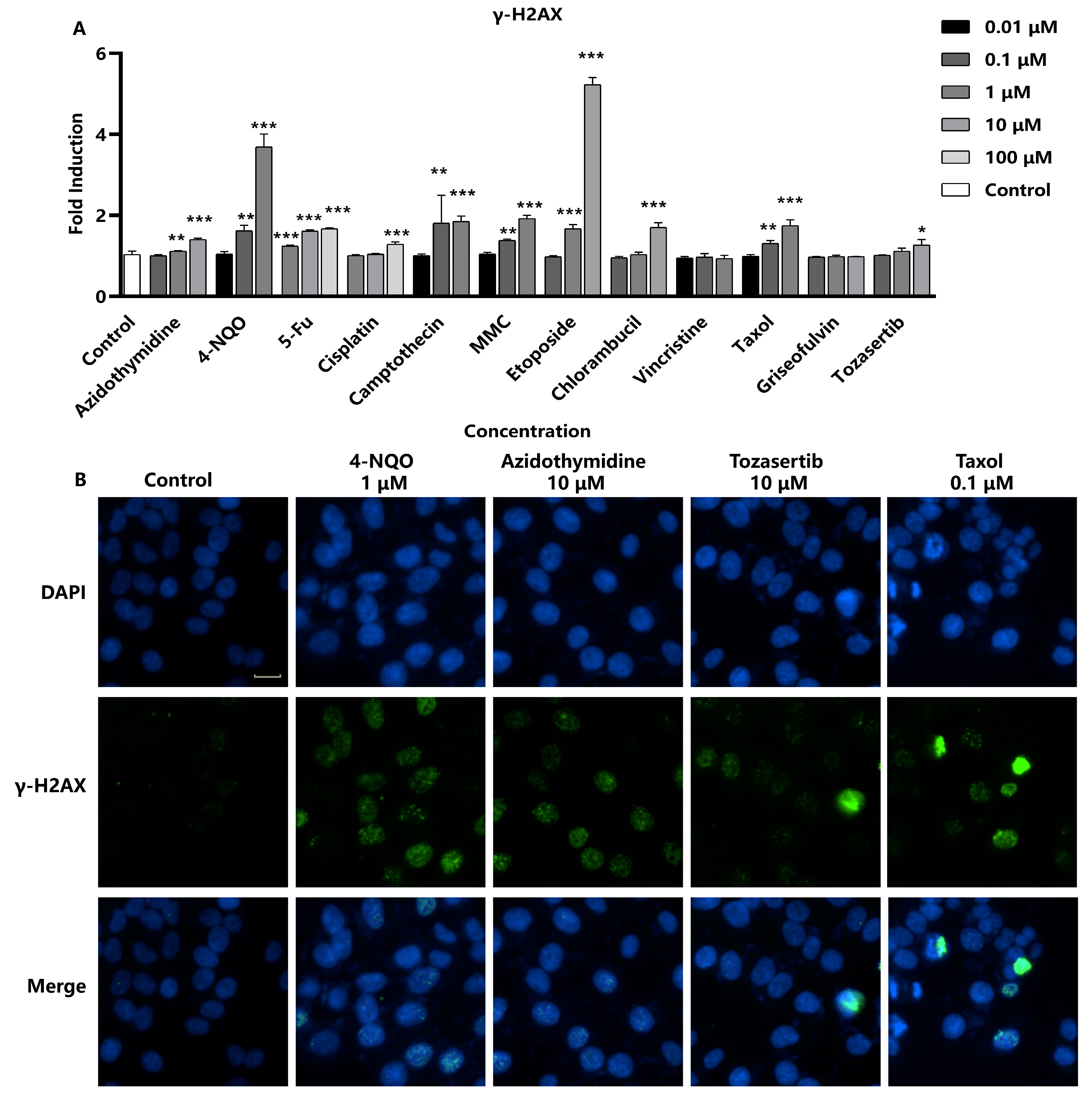 Molecules 29 03257 g002