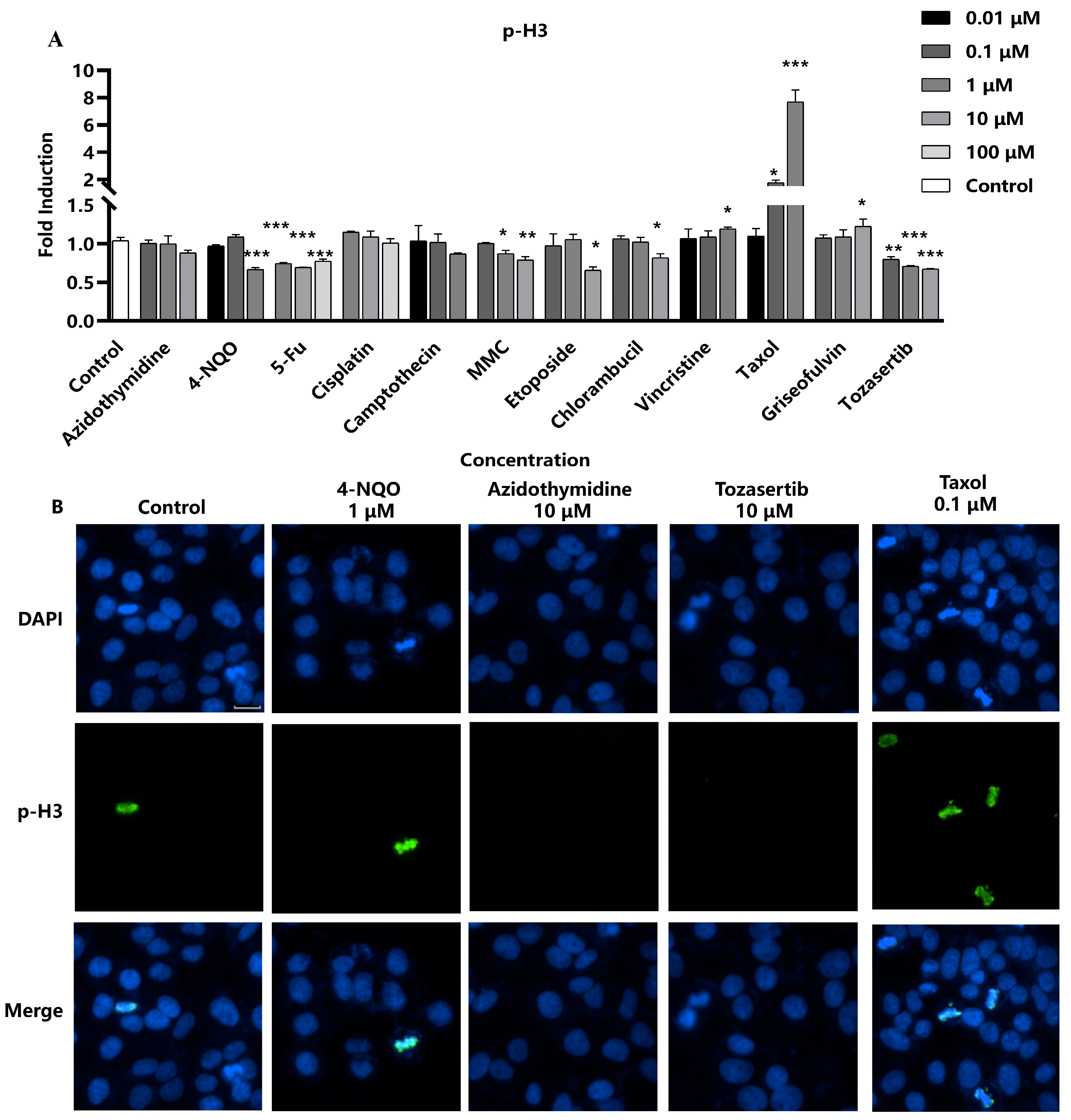 Molecules 29 03257 g003