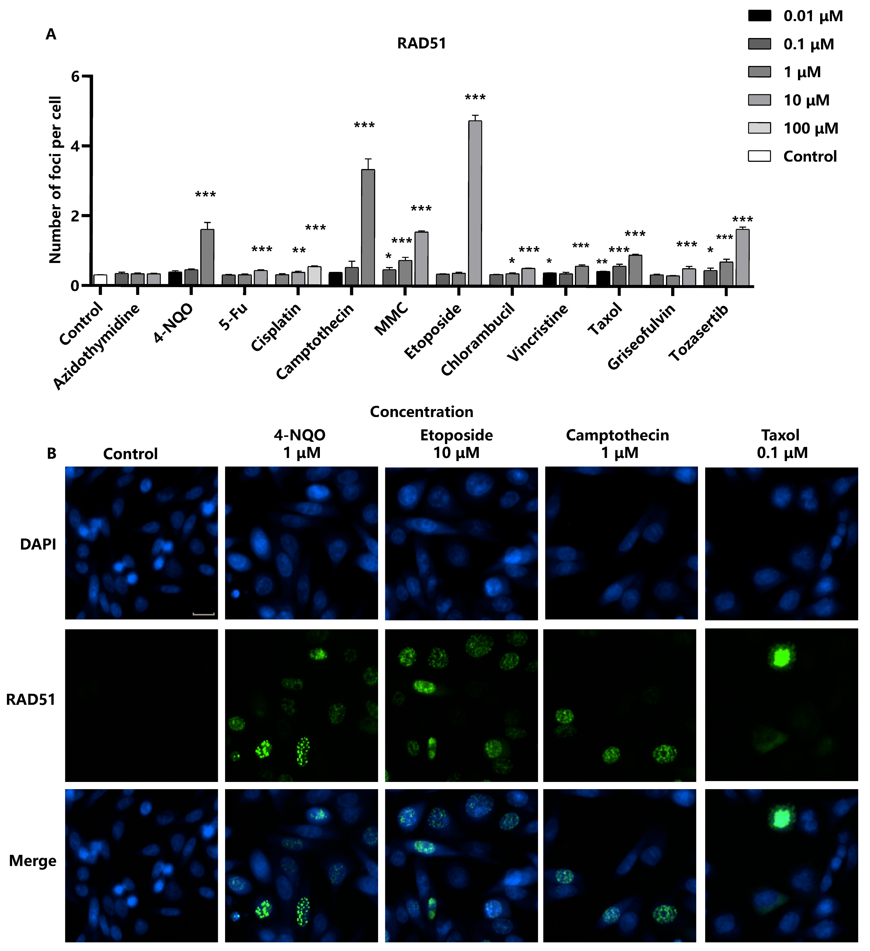 Molecules 29 03257 g004