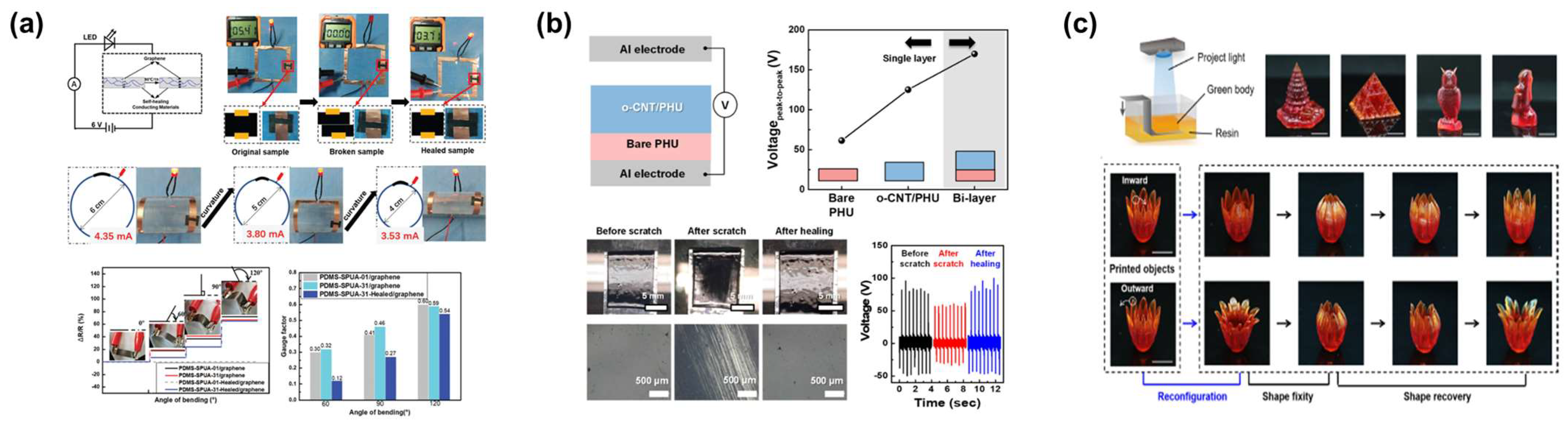 Molecules 29 03261 g005