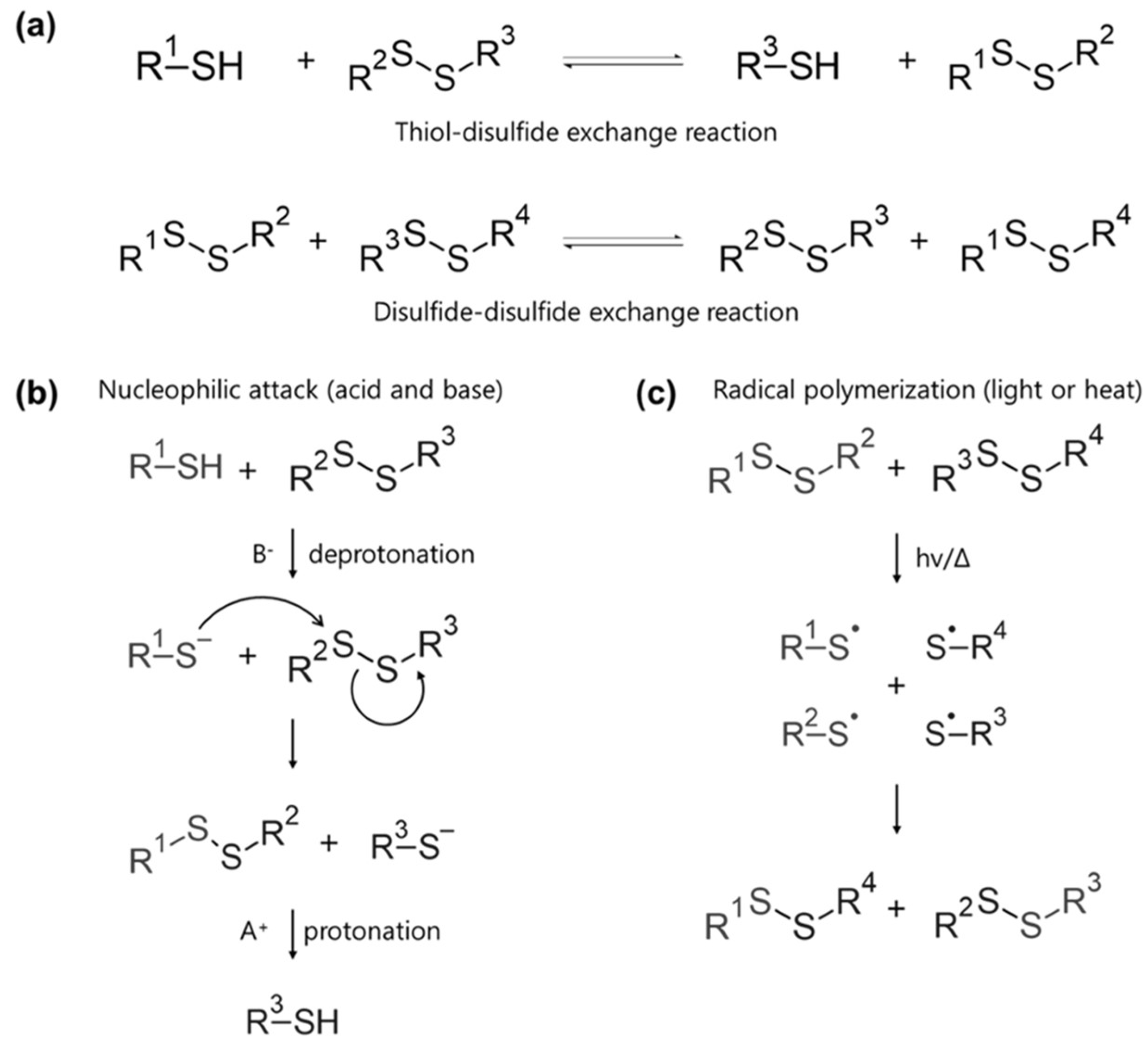 Molecules 29 03261 g006