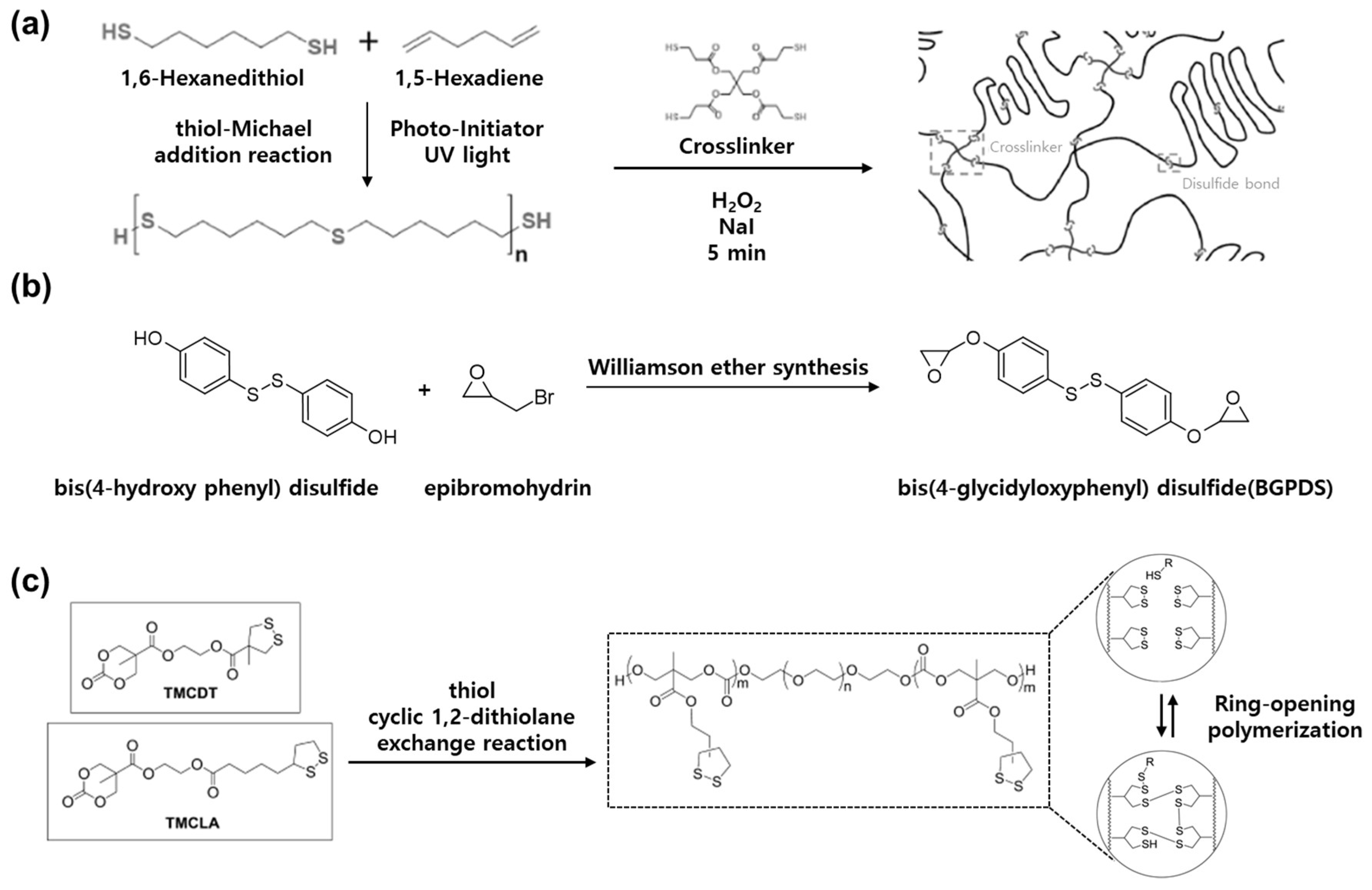Molecules 29 03261 g008