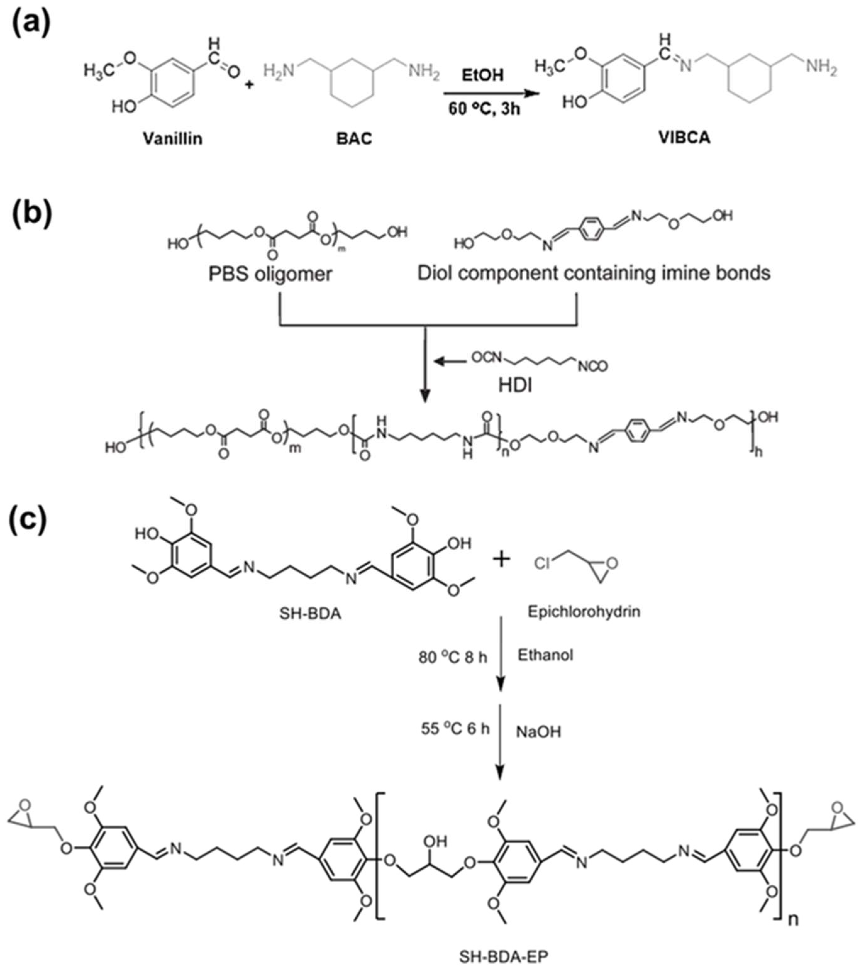 Molecules 29 03261 g012