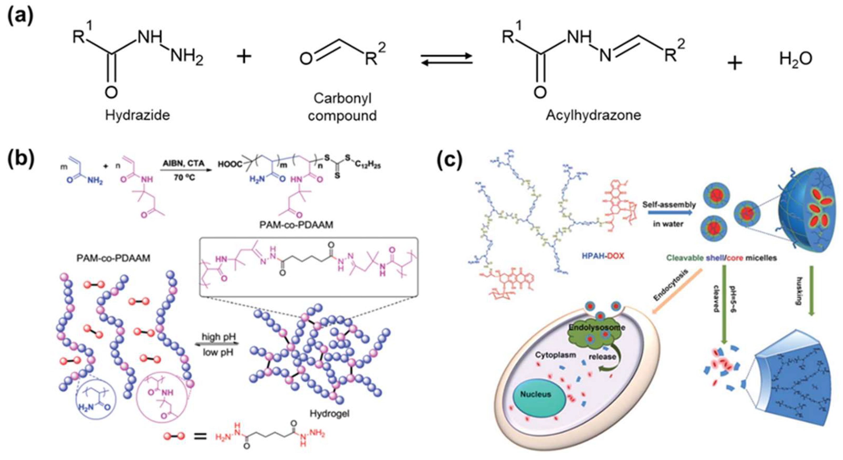 Molecules 29 03261 g017