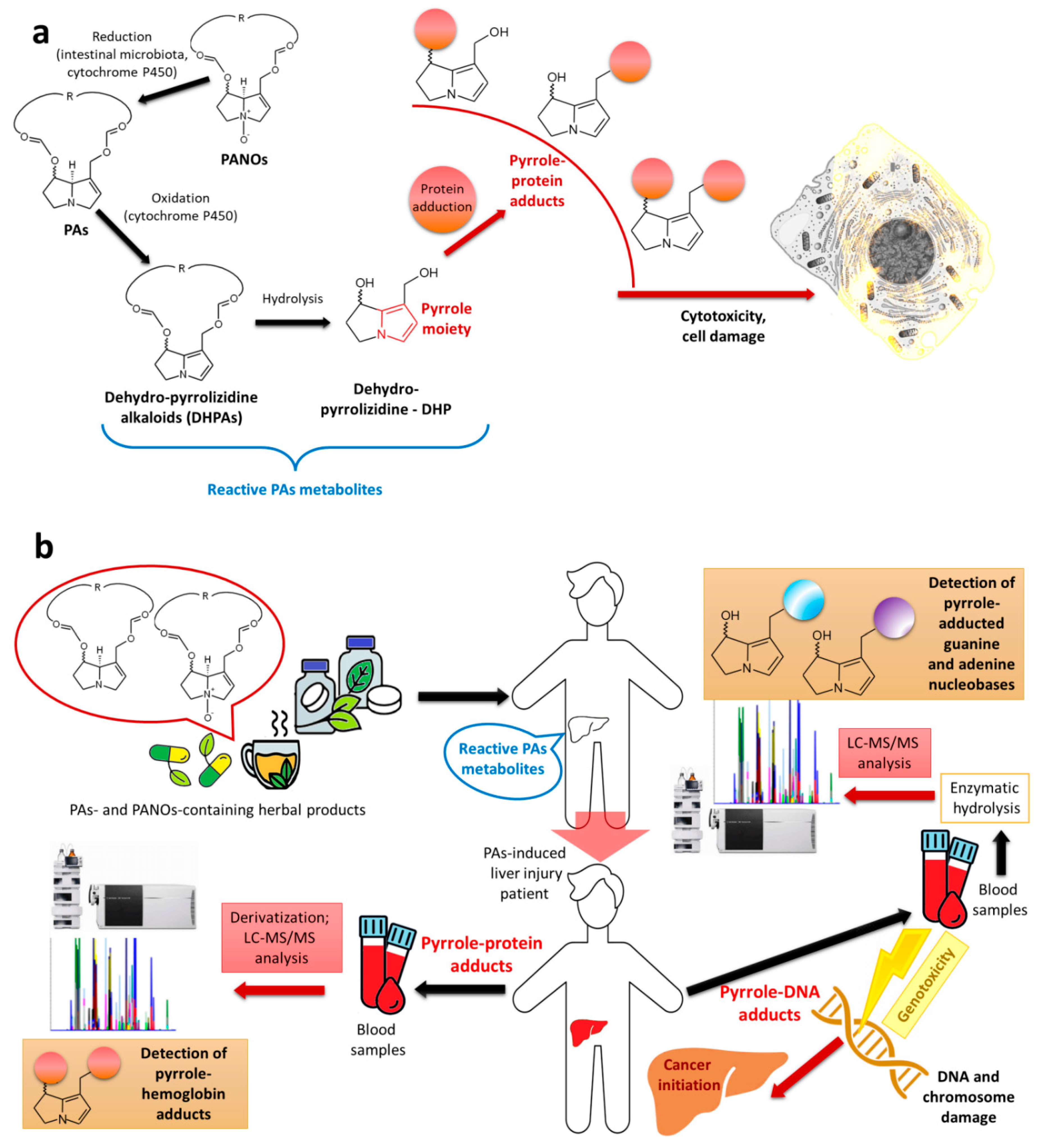 Molecules 29 03269 g004
