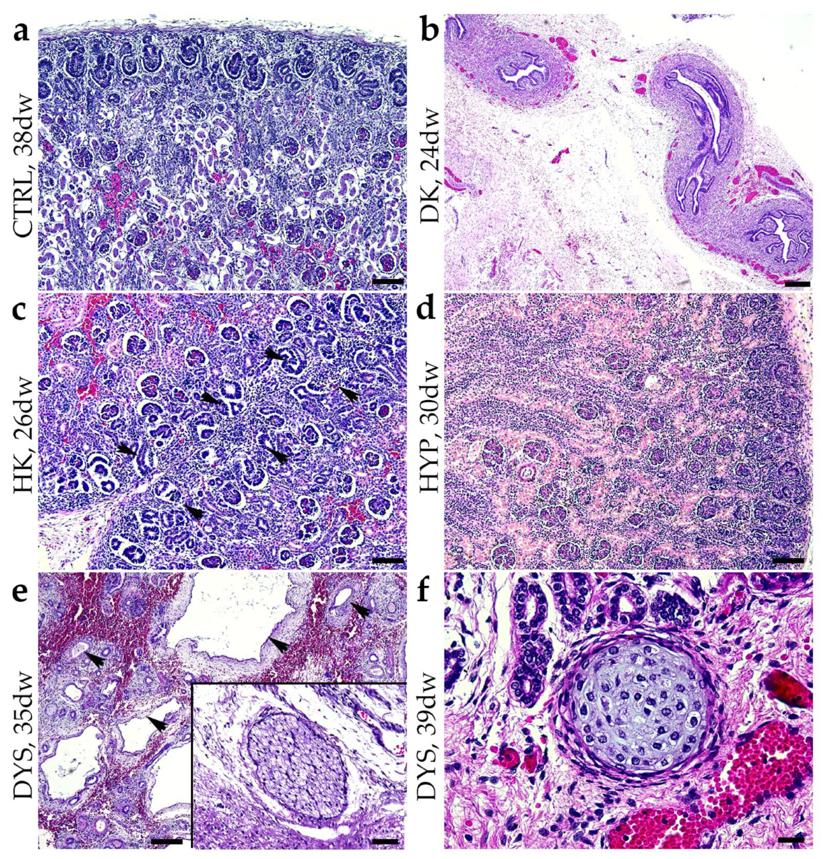 Molecules 29 03294 g001
