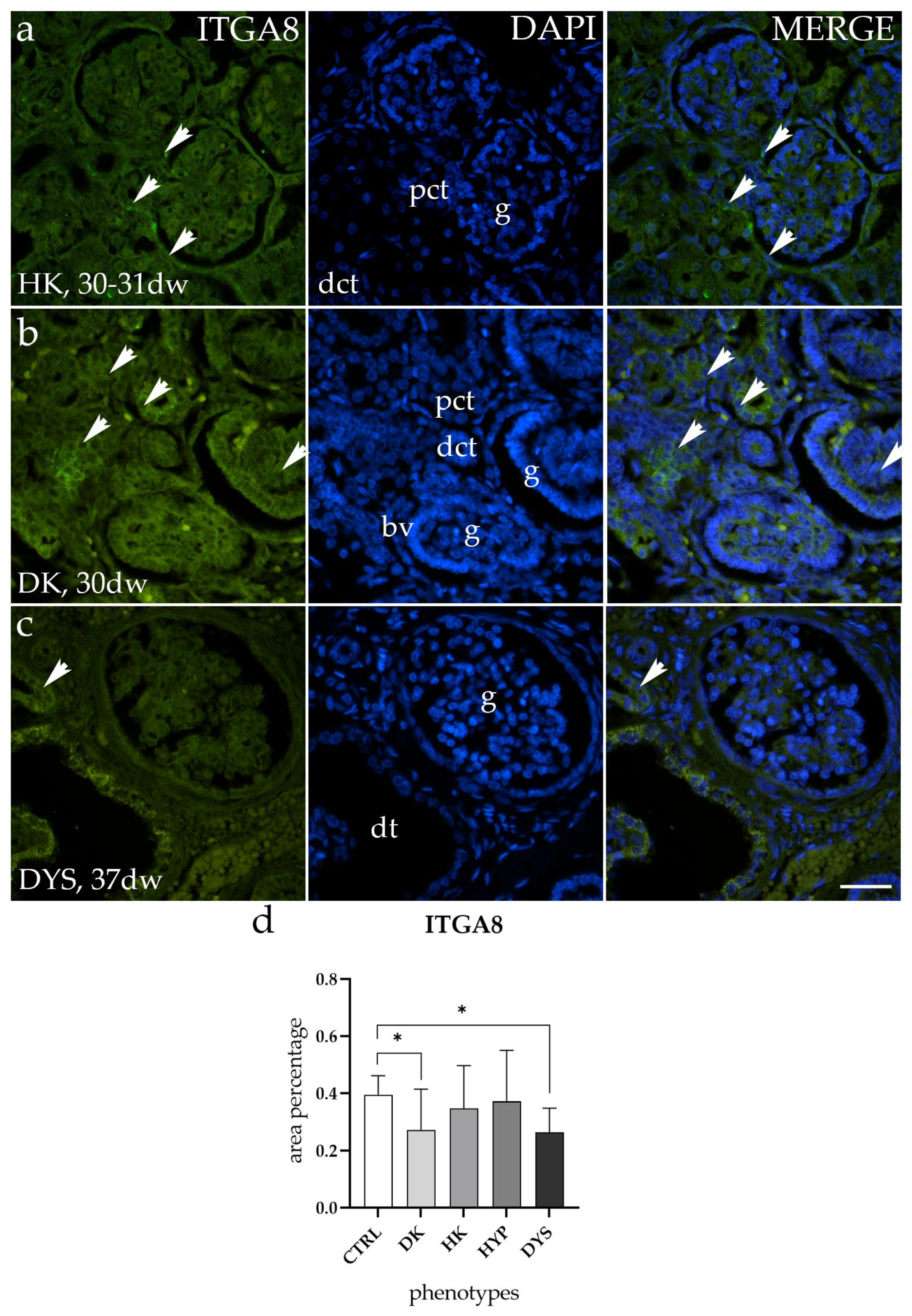 Molecules 29 03294 g003