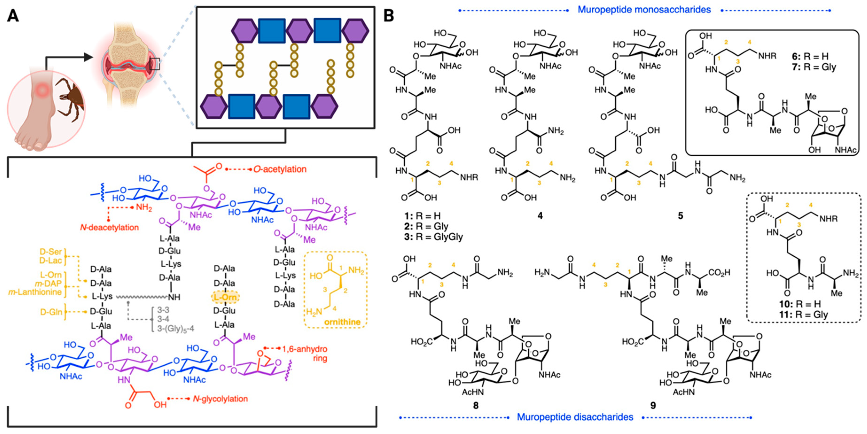 Molecules 29 03297 g001
