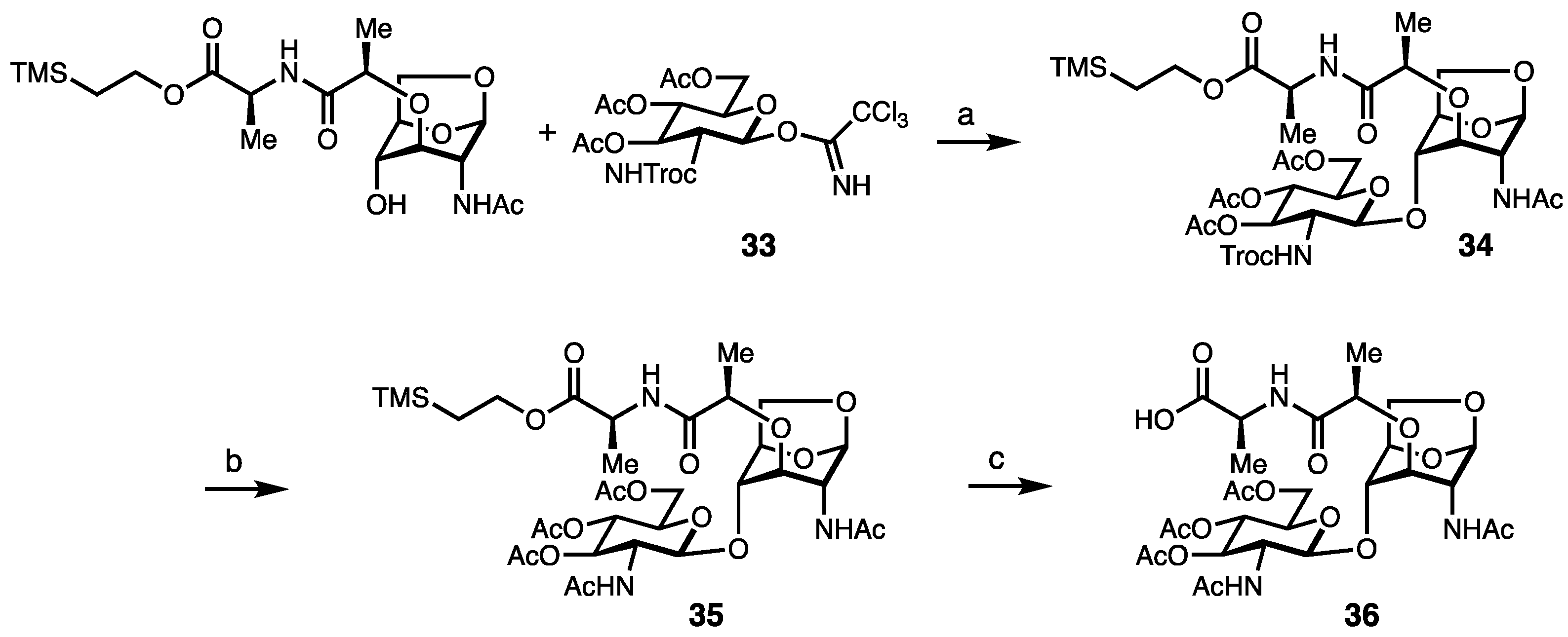 Molecules 29 03297 sch004