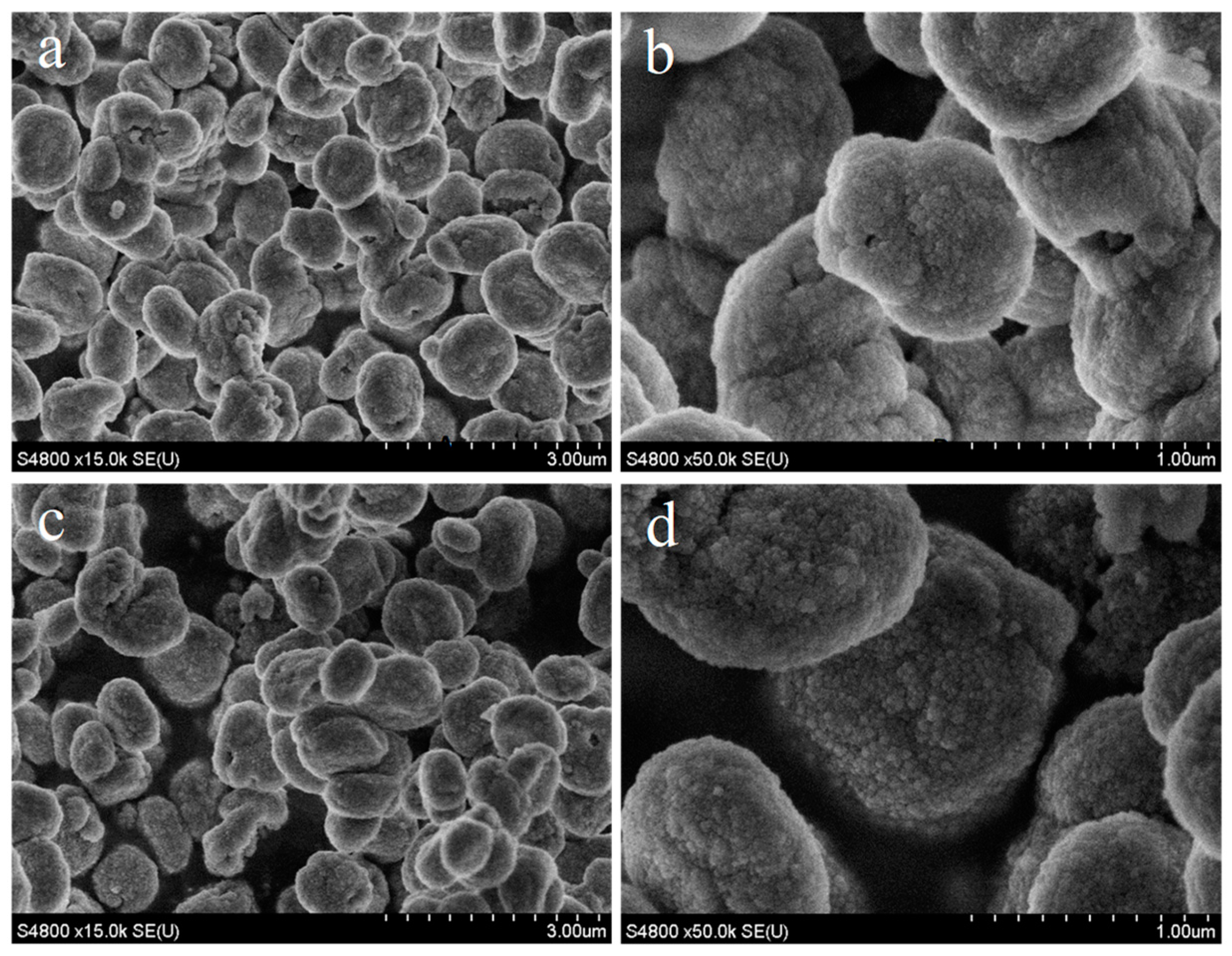 Molecules 29 03315 g002