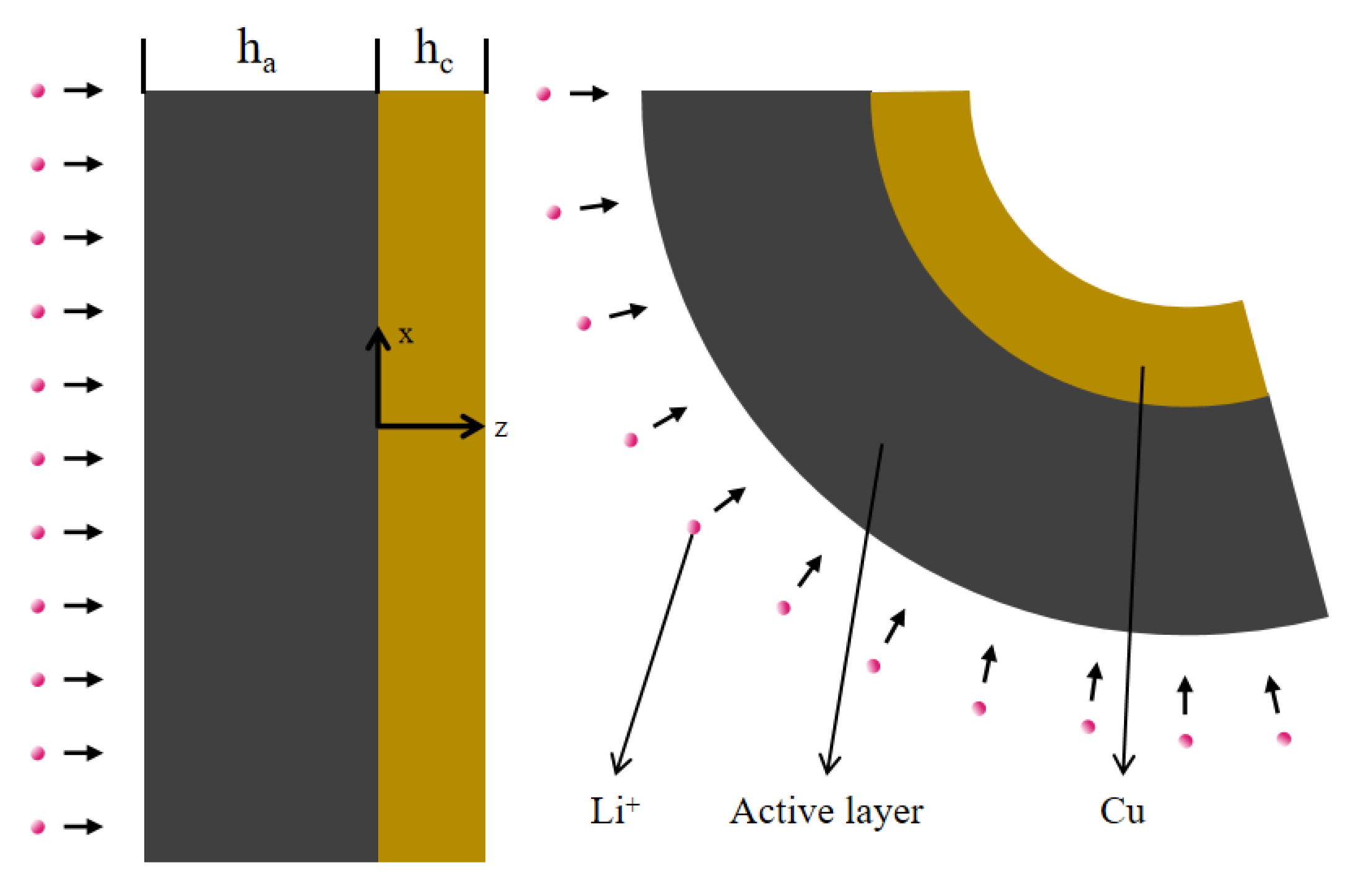 Molecules 29 03316 g008