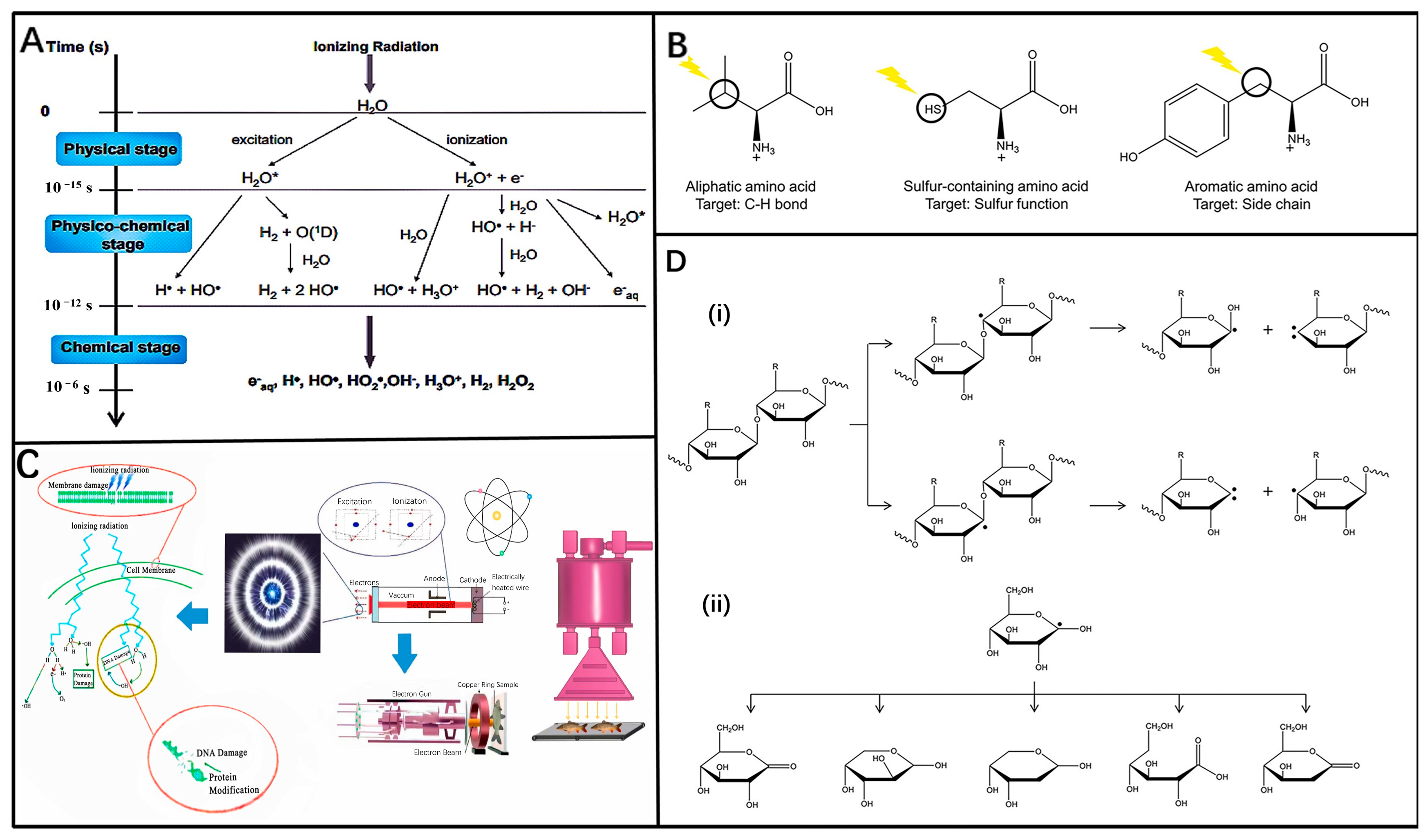 Molecules 29 03318 g003