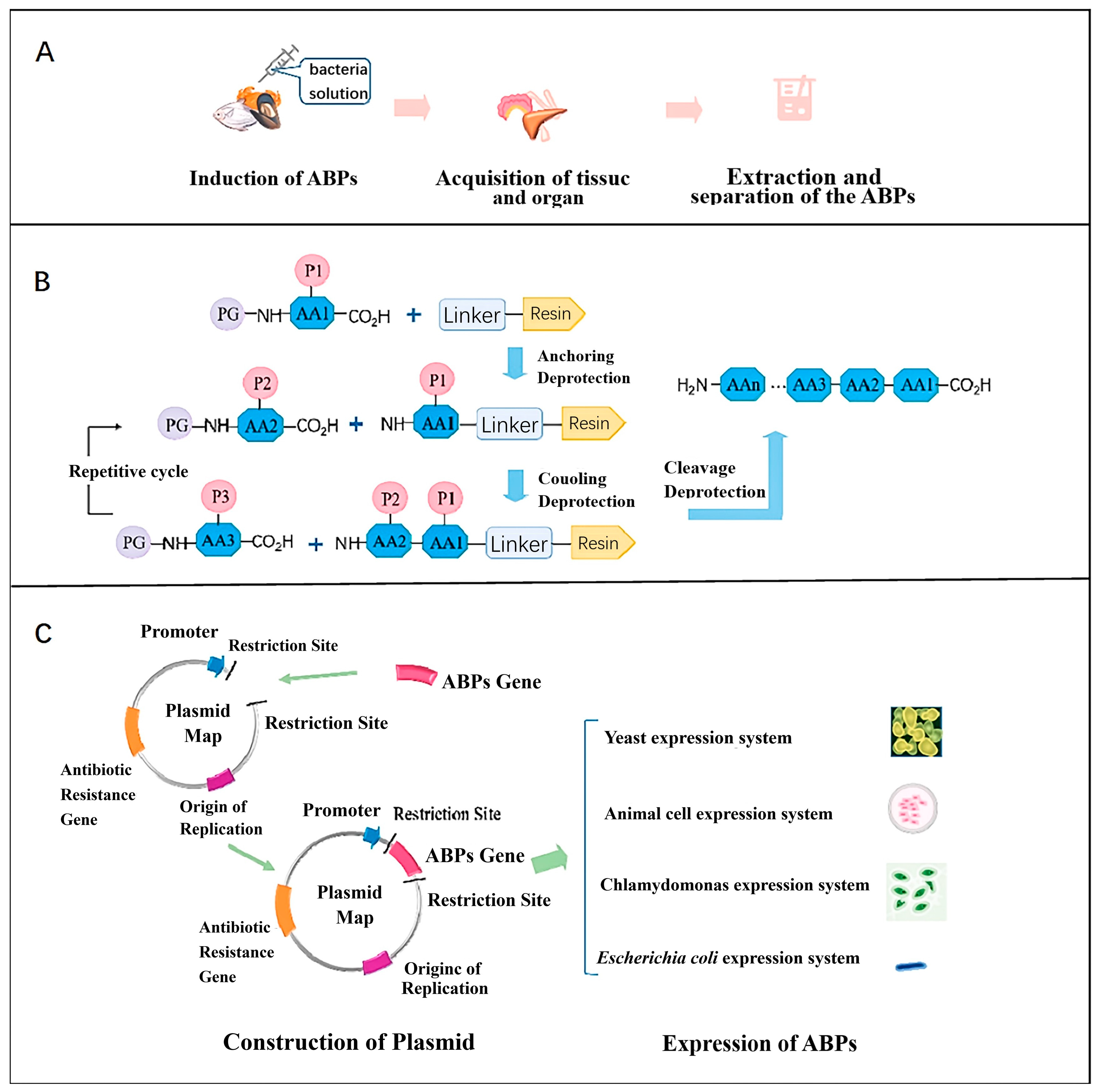 Molecules 29 03318 g006