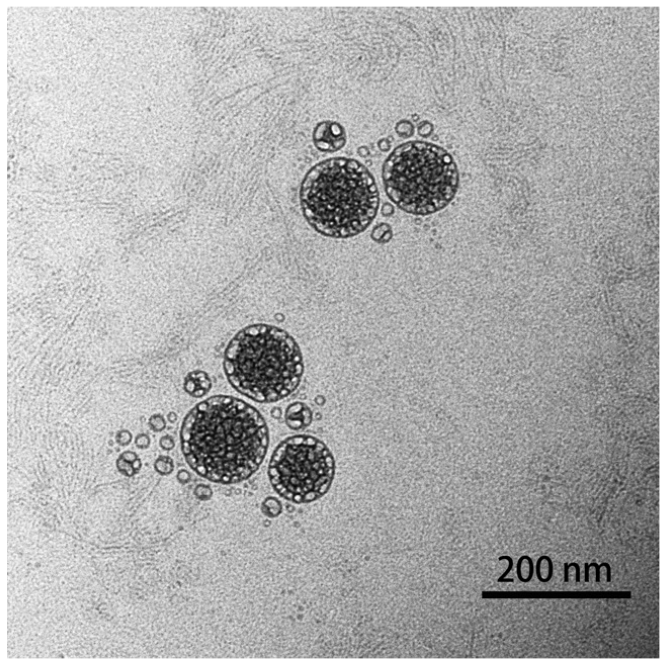 Molecules 29 03320 g003