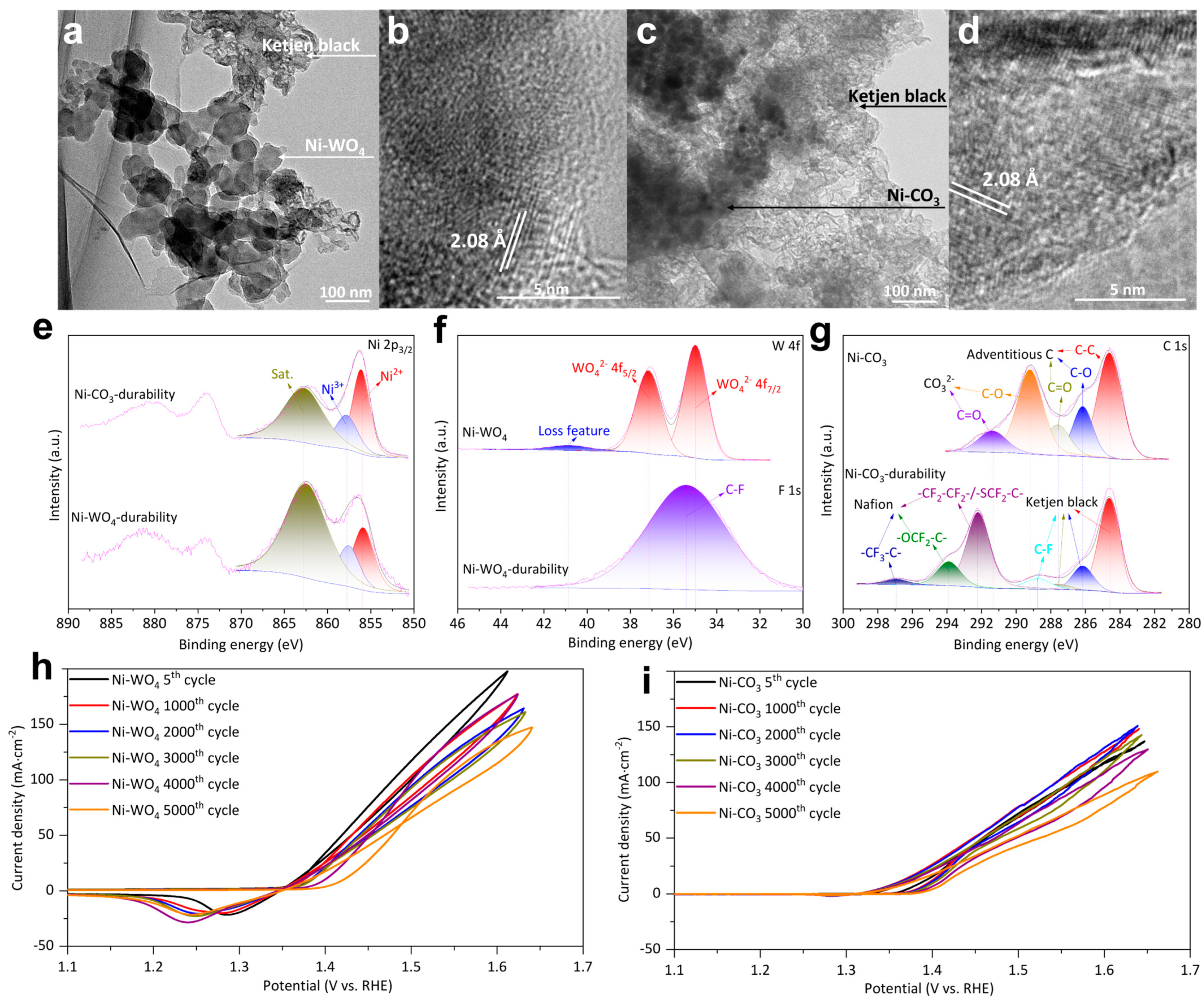 Molecules 29 03321 g006
