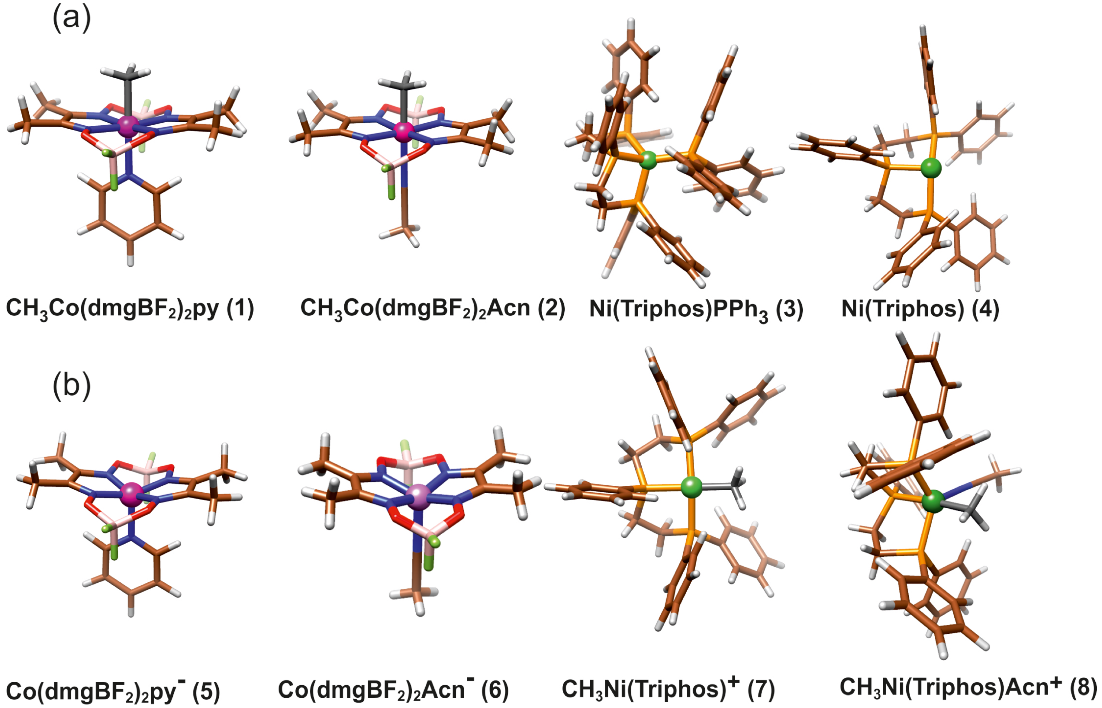 Molecules 29 03335 g002 Molecules 29 03335 g002