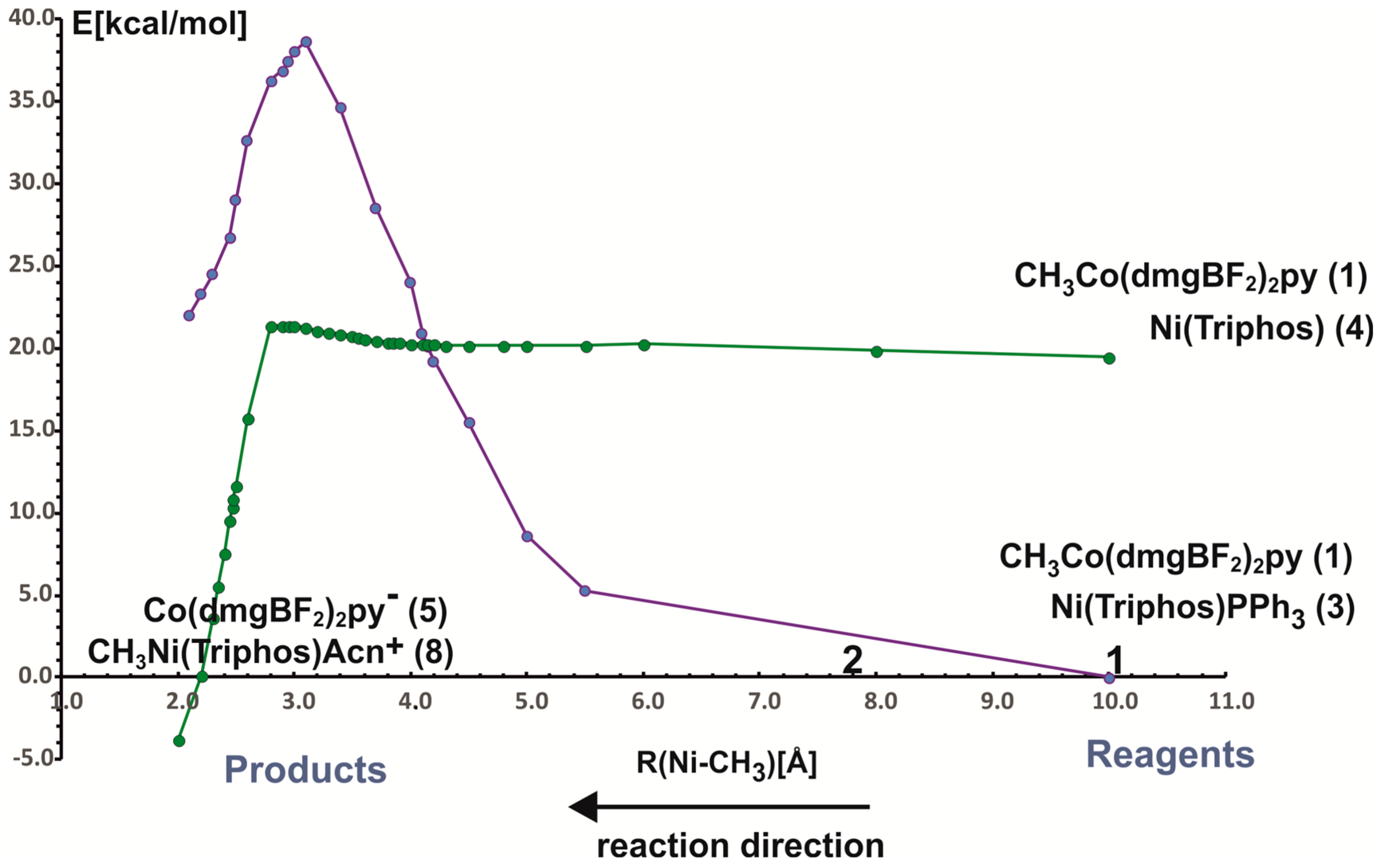 Molecules 29 03335 g003 Molecules 29 03335 g003