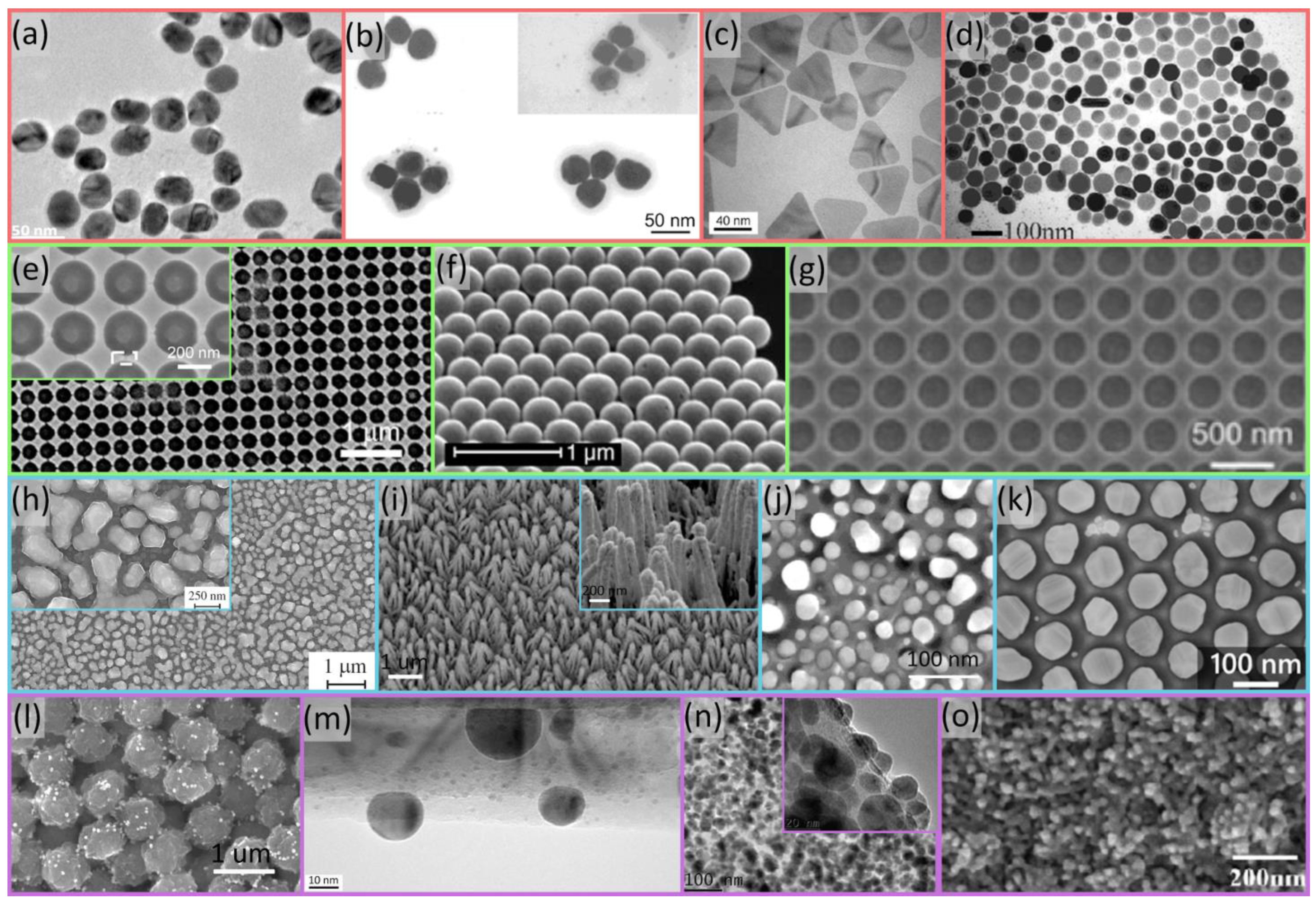 Molecules 29 03338 g001