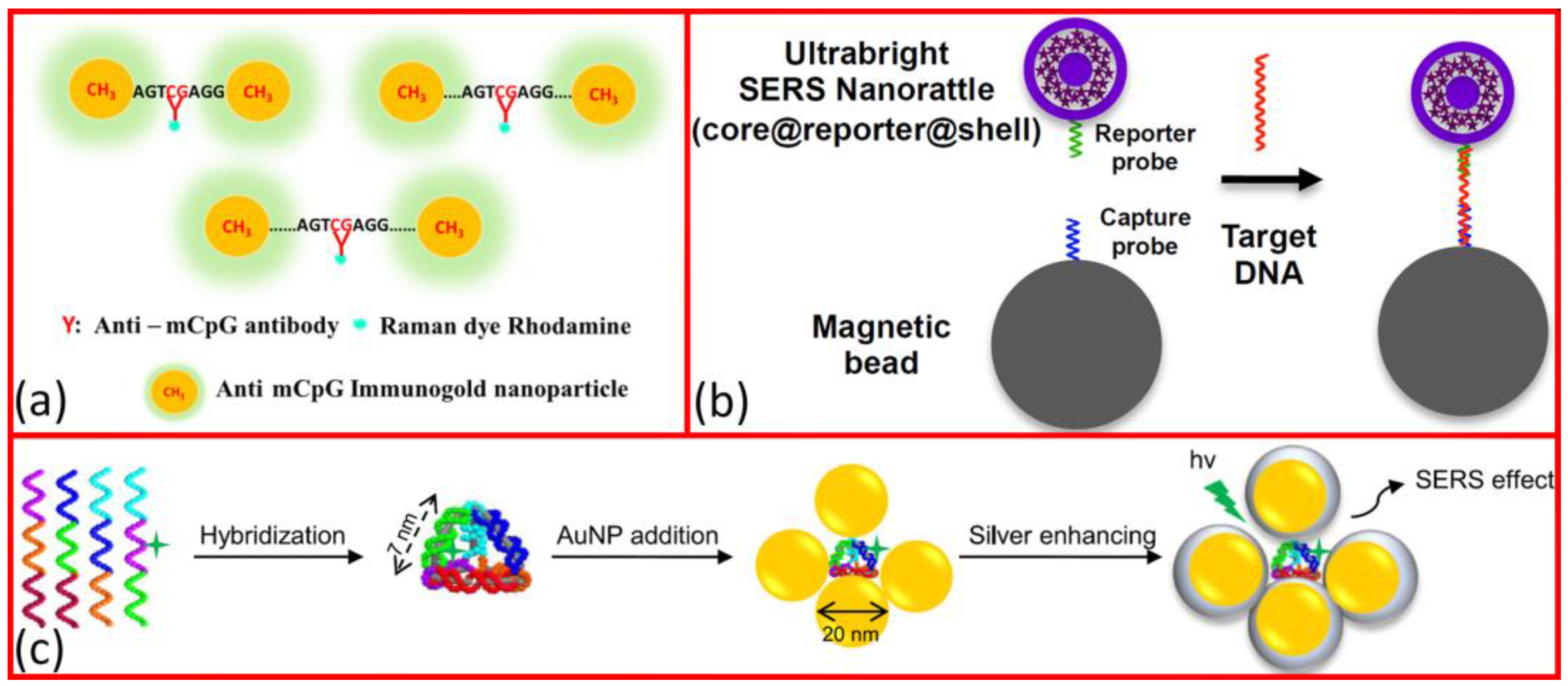 Molecules 29 03338 g002