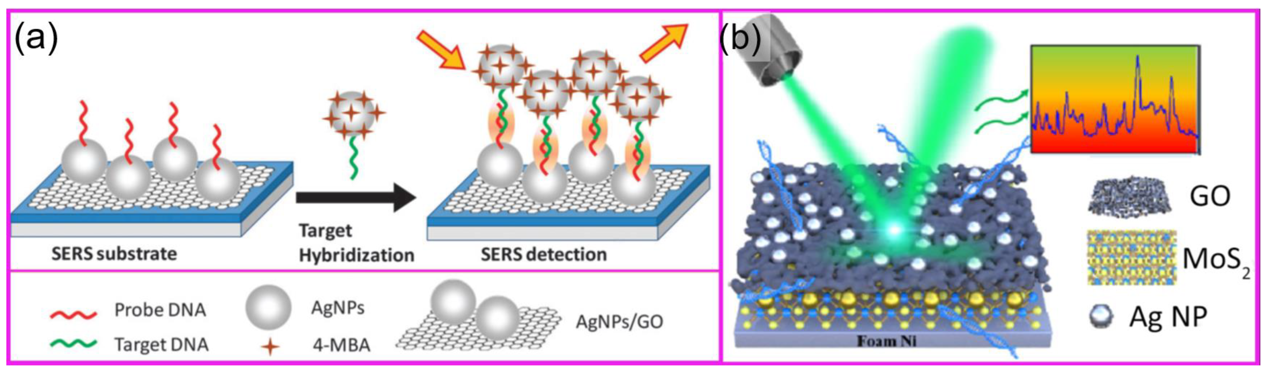 Molecules 29 03338 g004