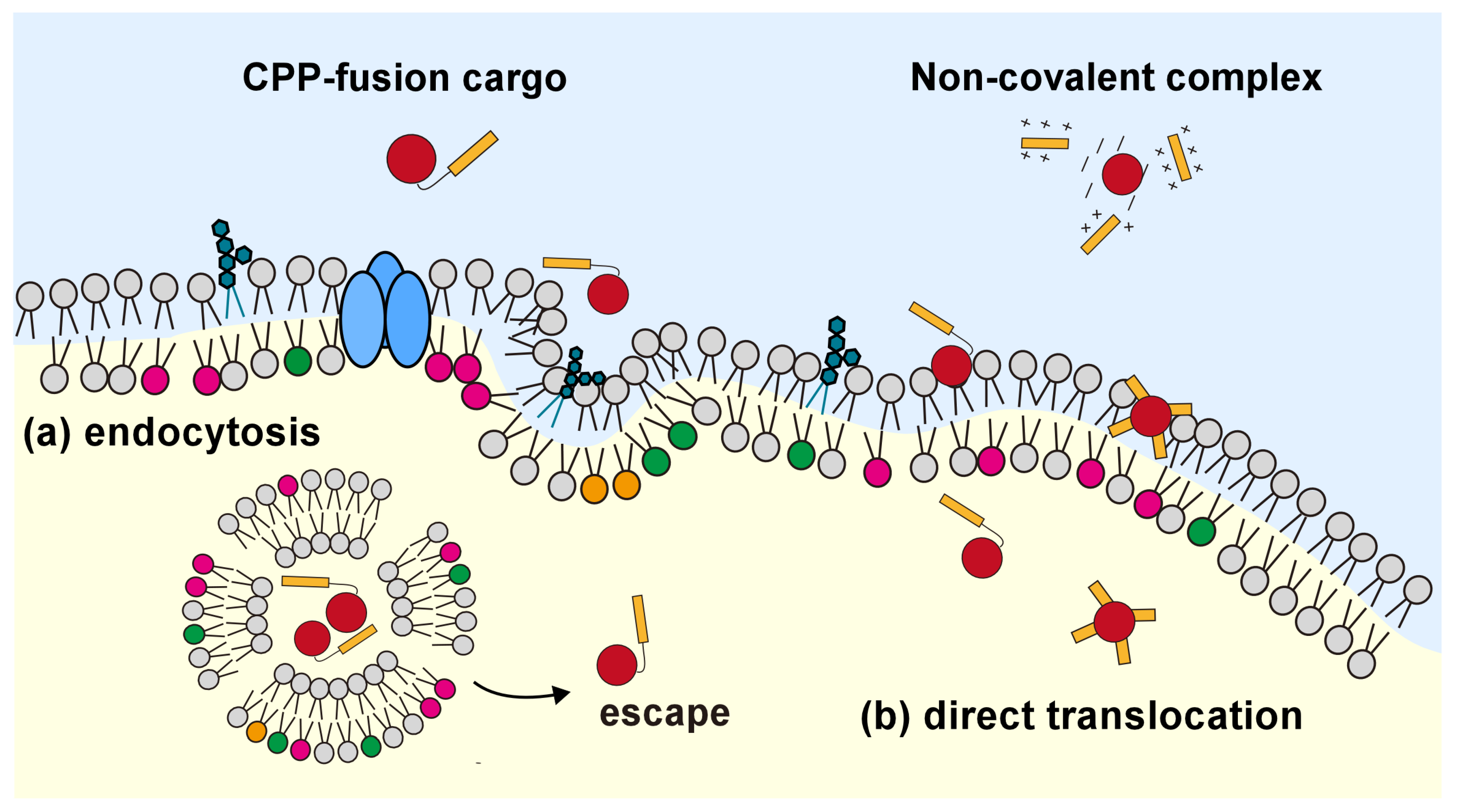 Molecules 29 03339 g001
