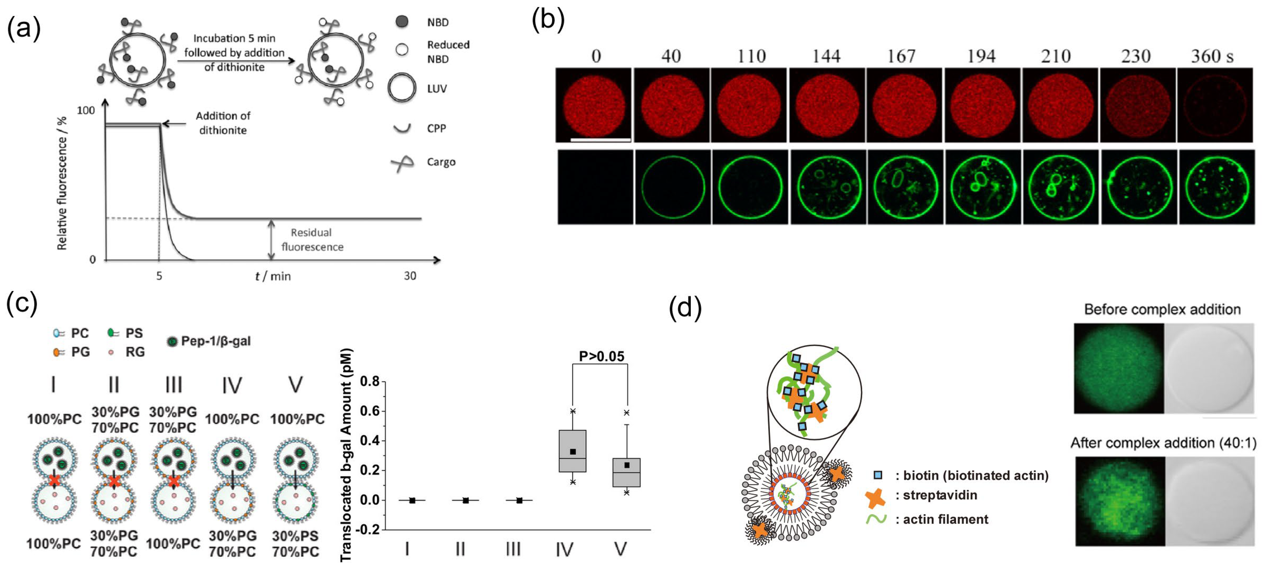 Molecules 29 03339 g003