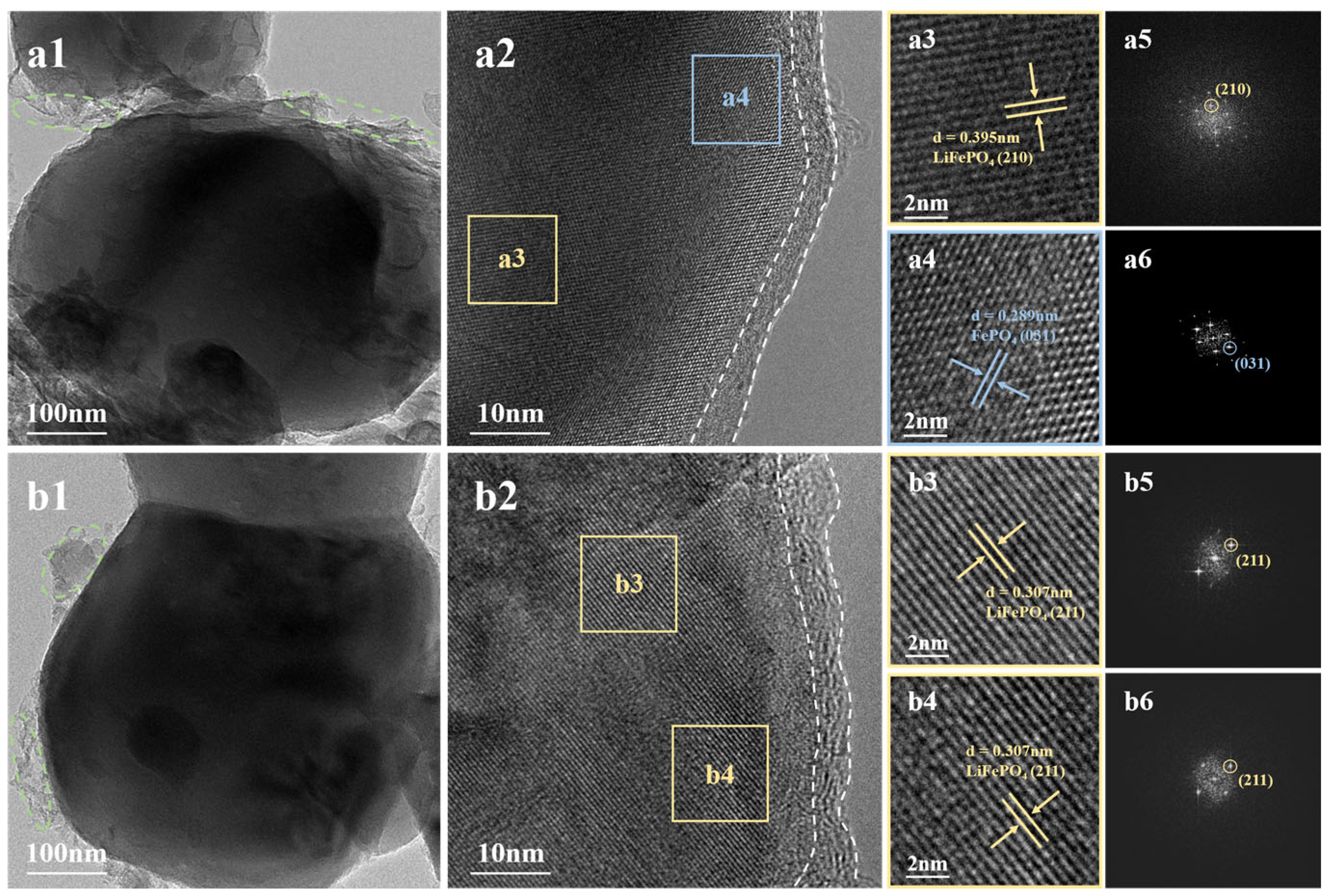 Molecules 29 03340 g004