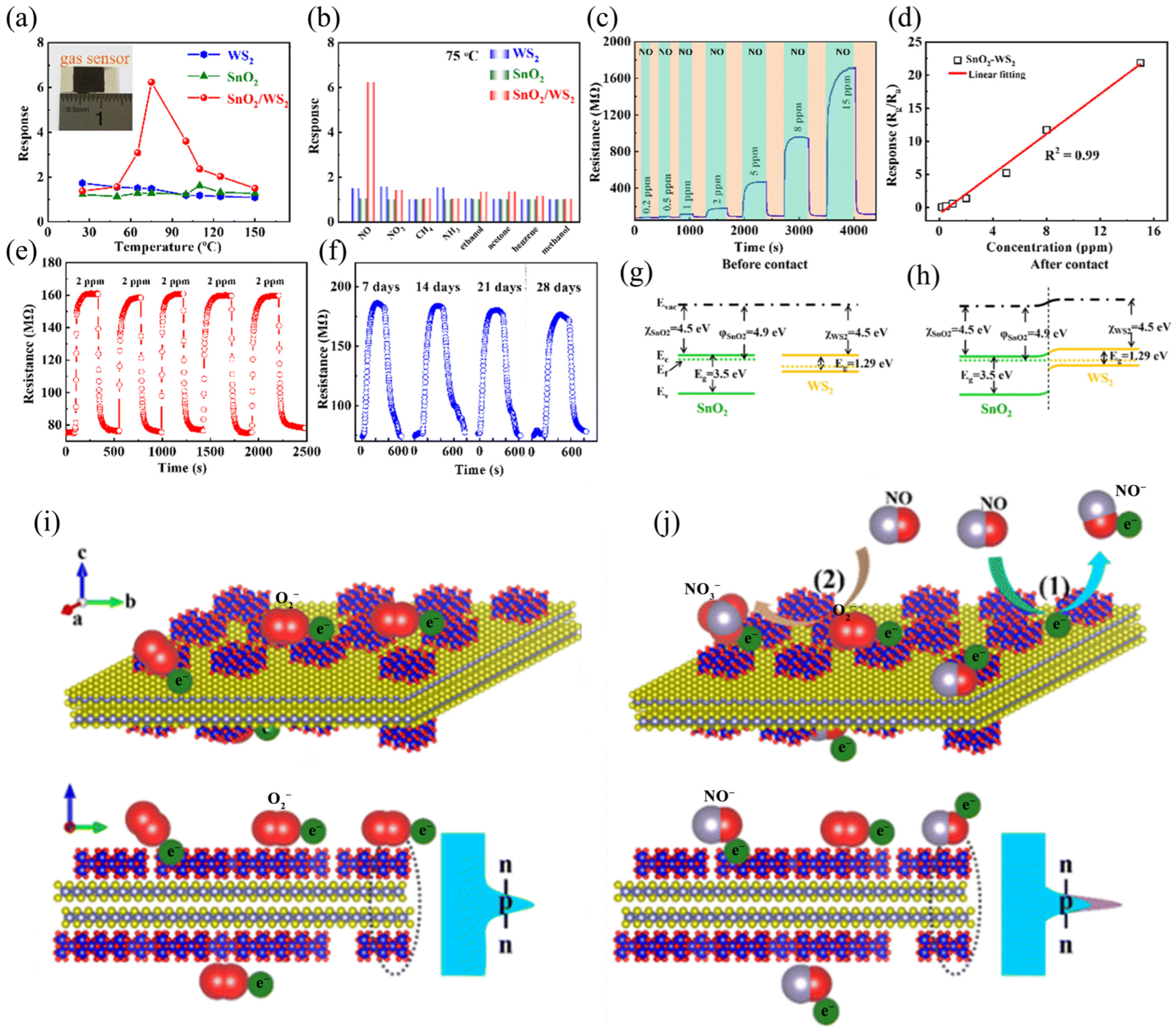 Molecules 29 03341 g005