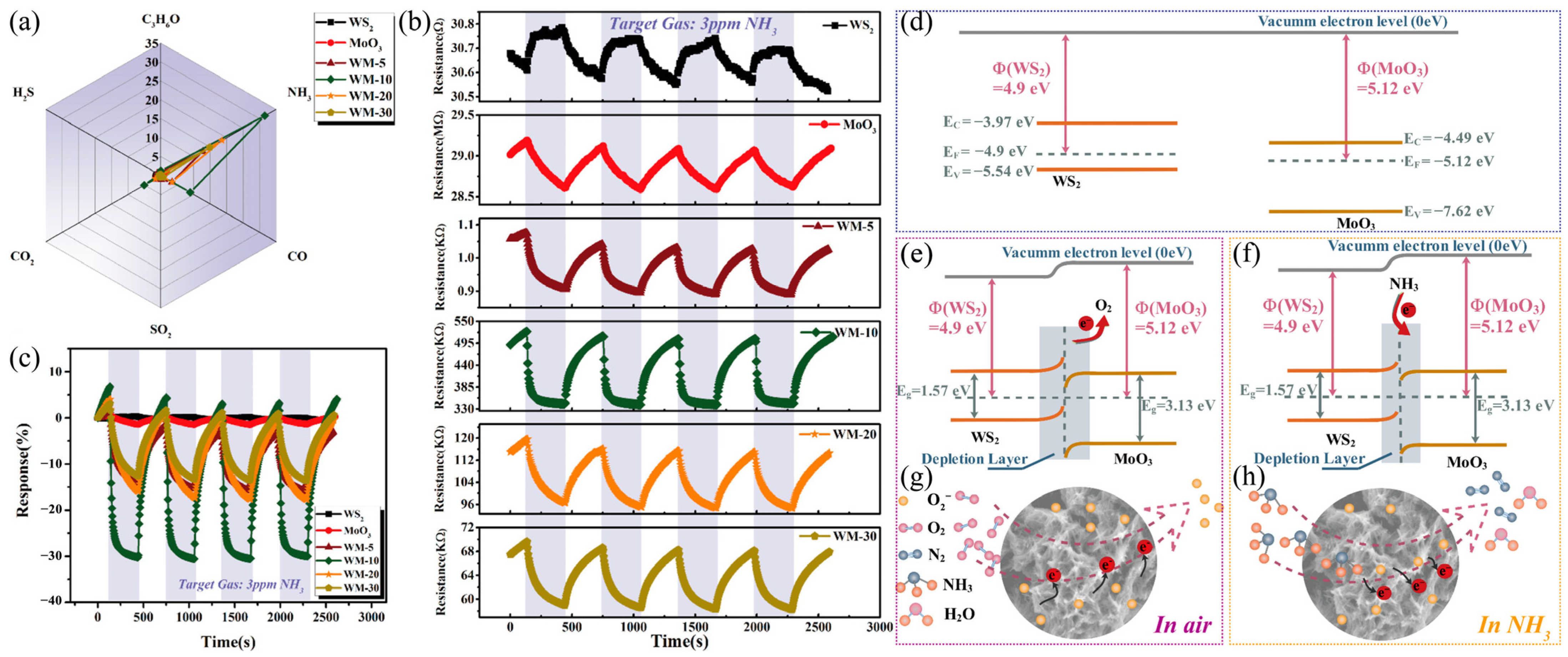 Molecules 29 03341 g007