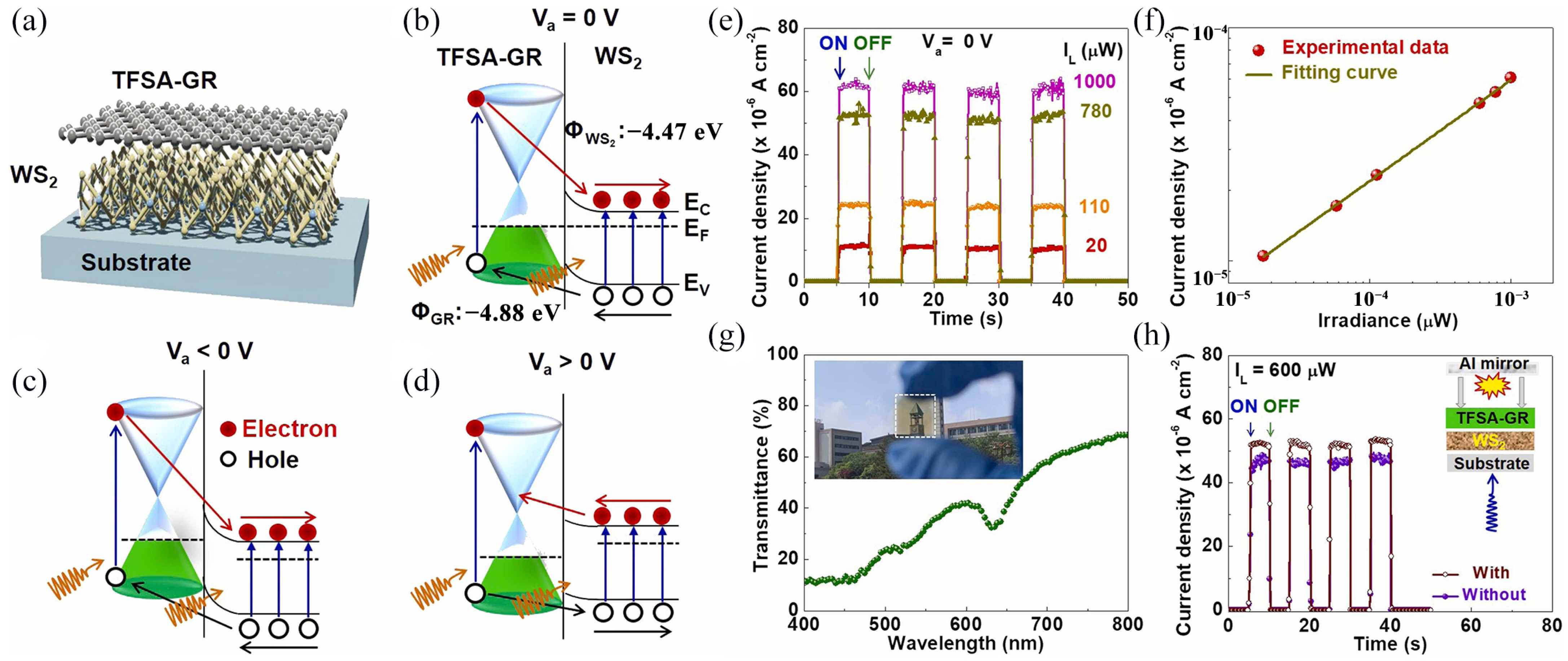 Molecules 29 03341 g012