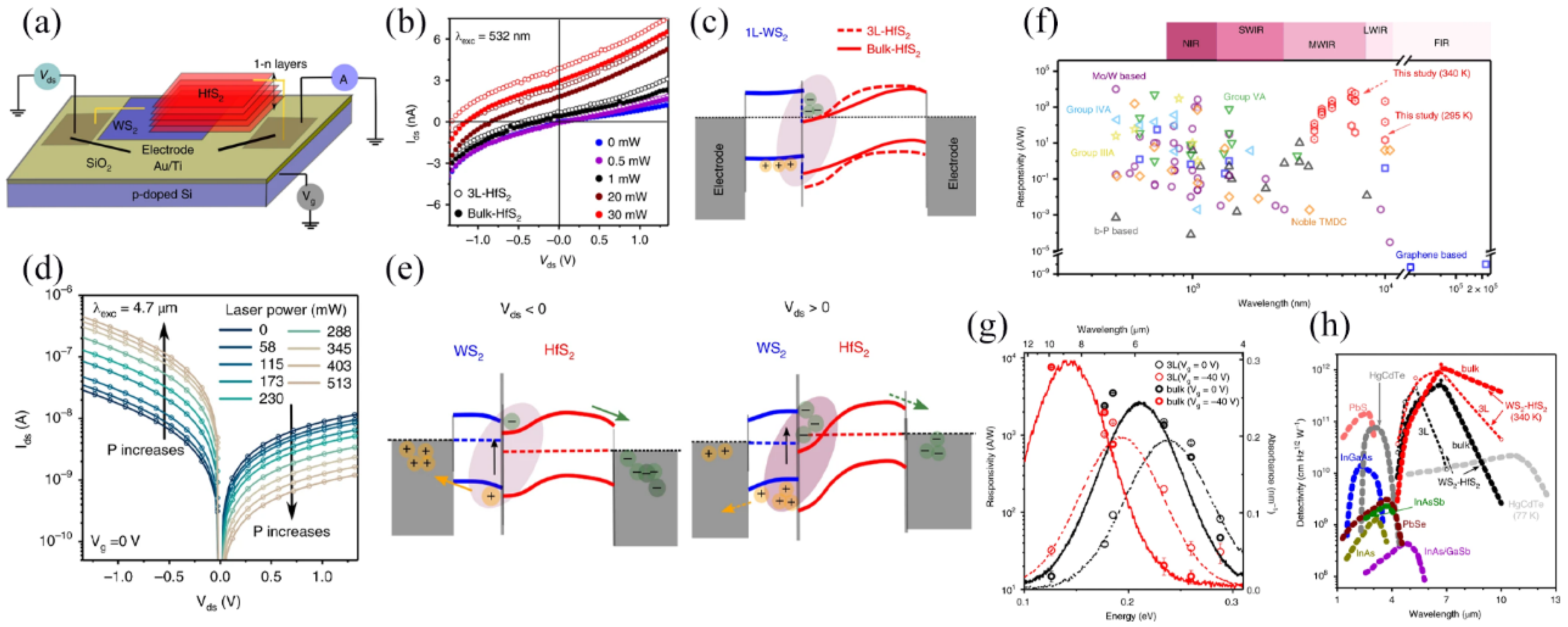 Molecules 29 03341 g014