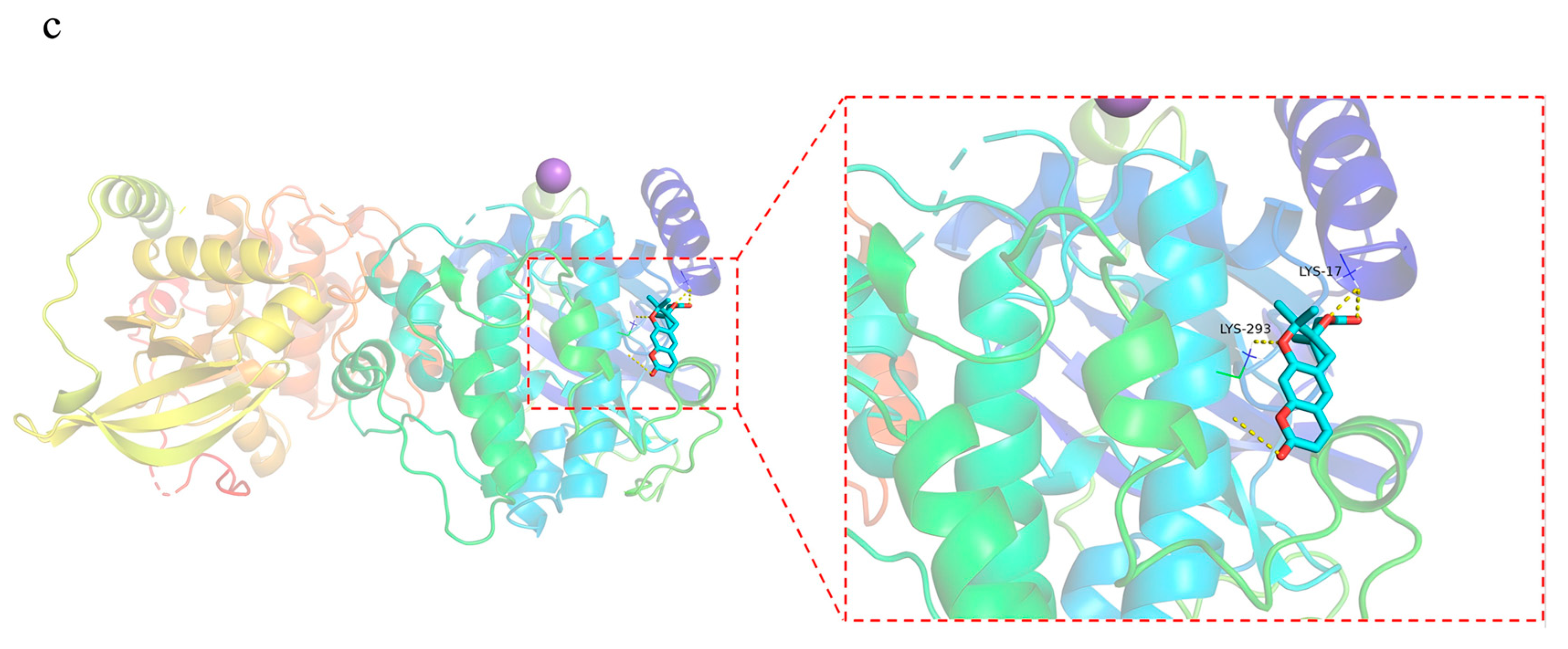 Molecules 29 03346 g009b