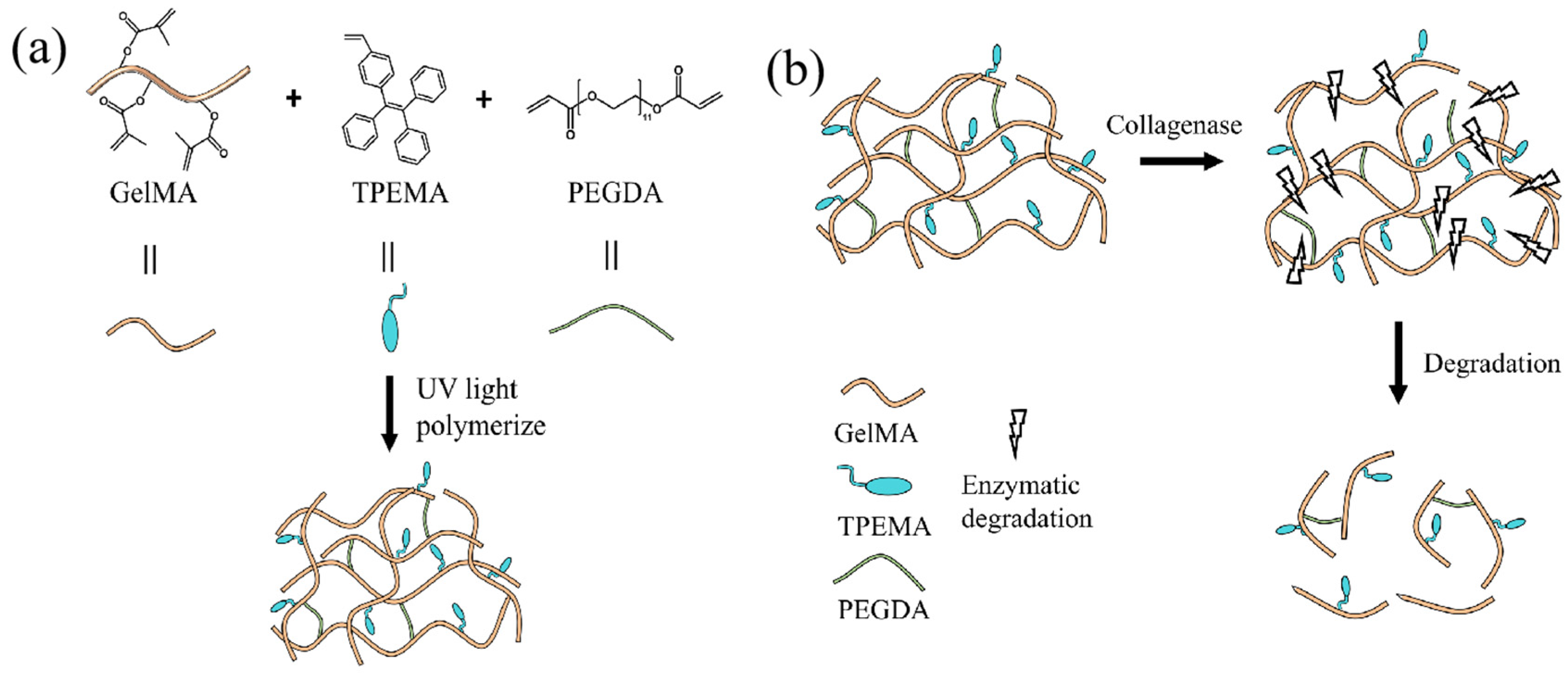 Molecules 29 03351 g001