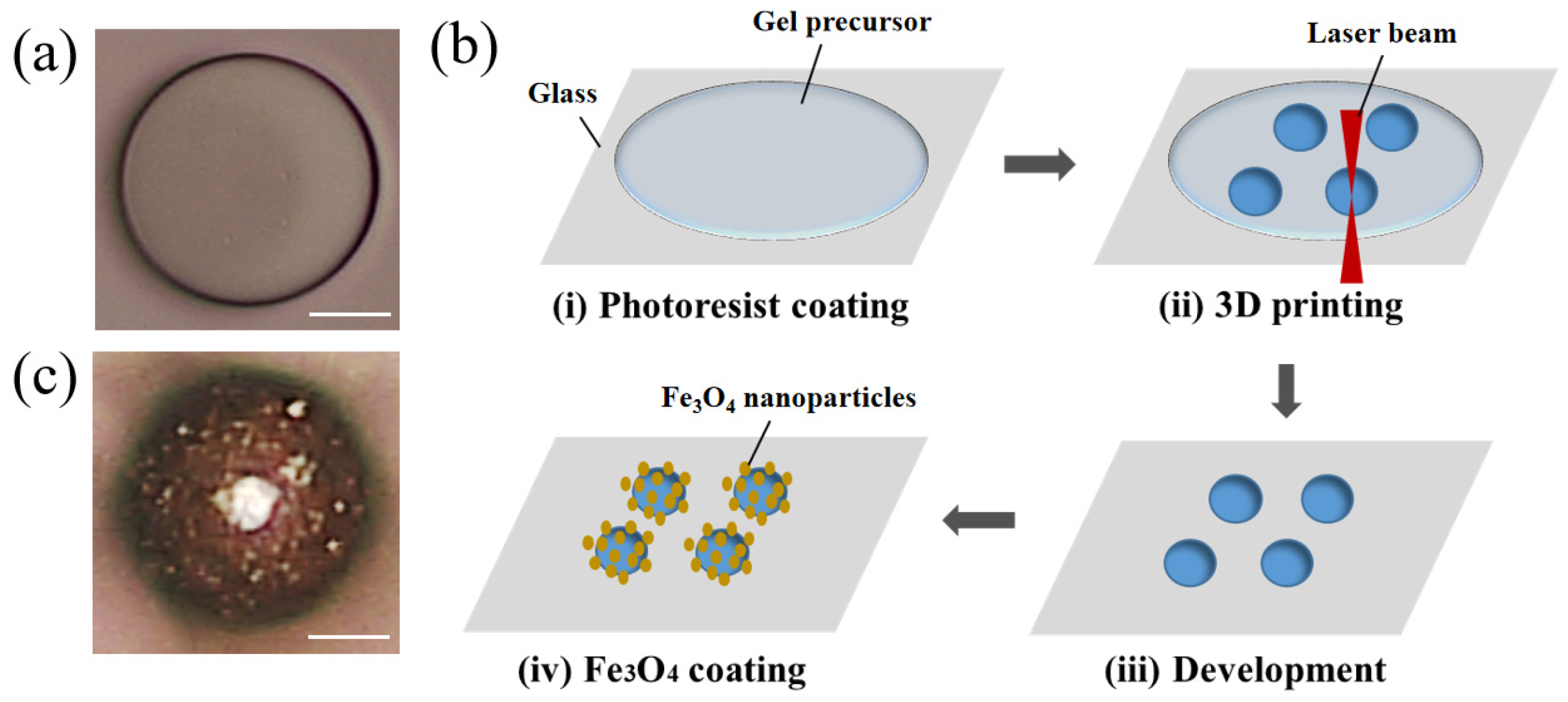 Molecules 29 03351 g003