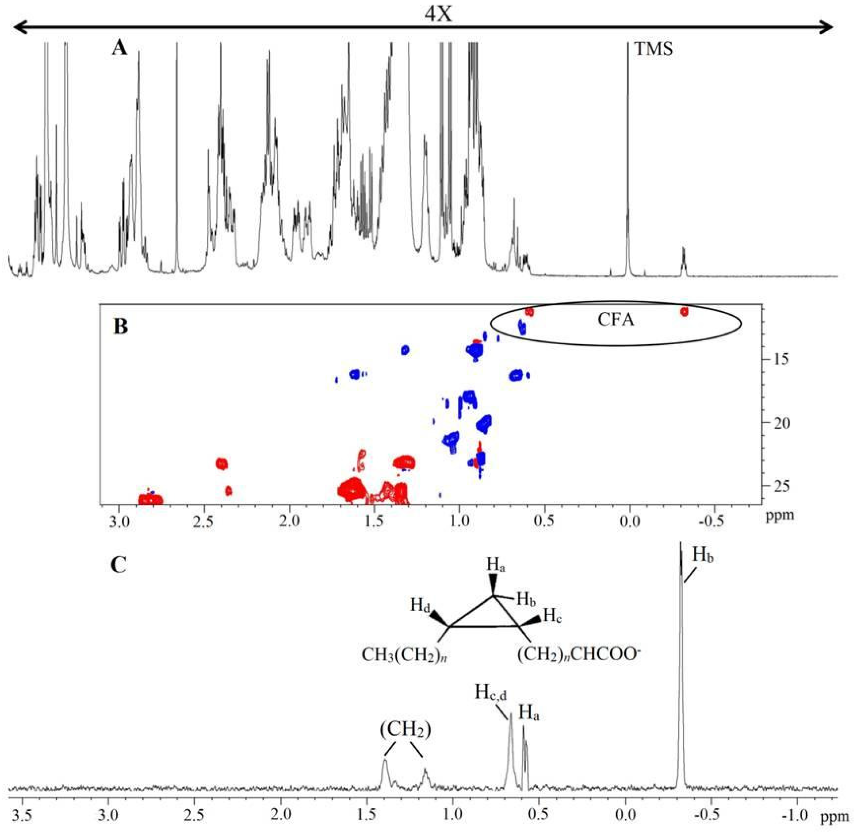 Molecules 29 03352 g002 Molecules 29 03352 g002