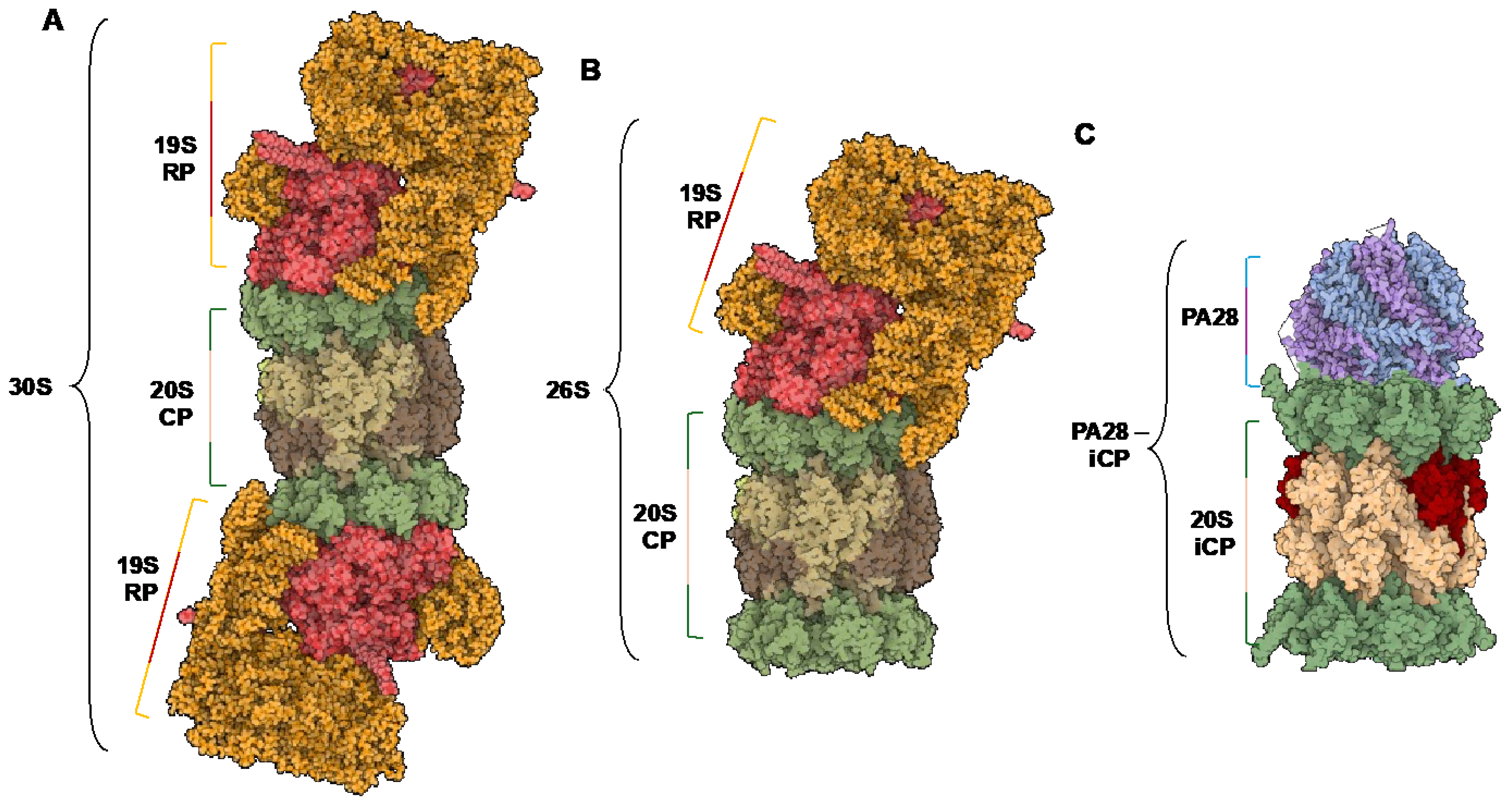 Molecules 29 03356 g002