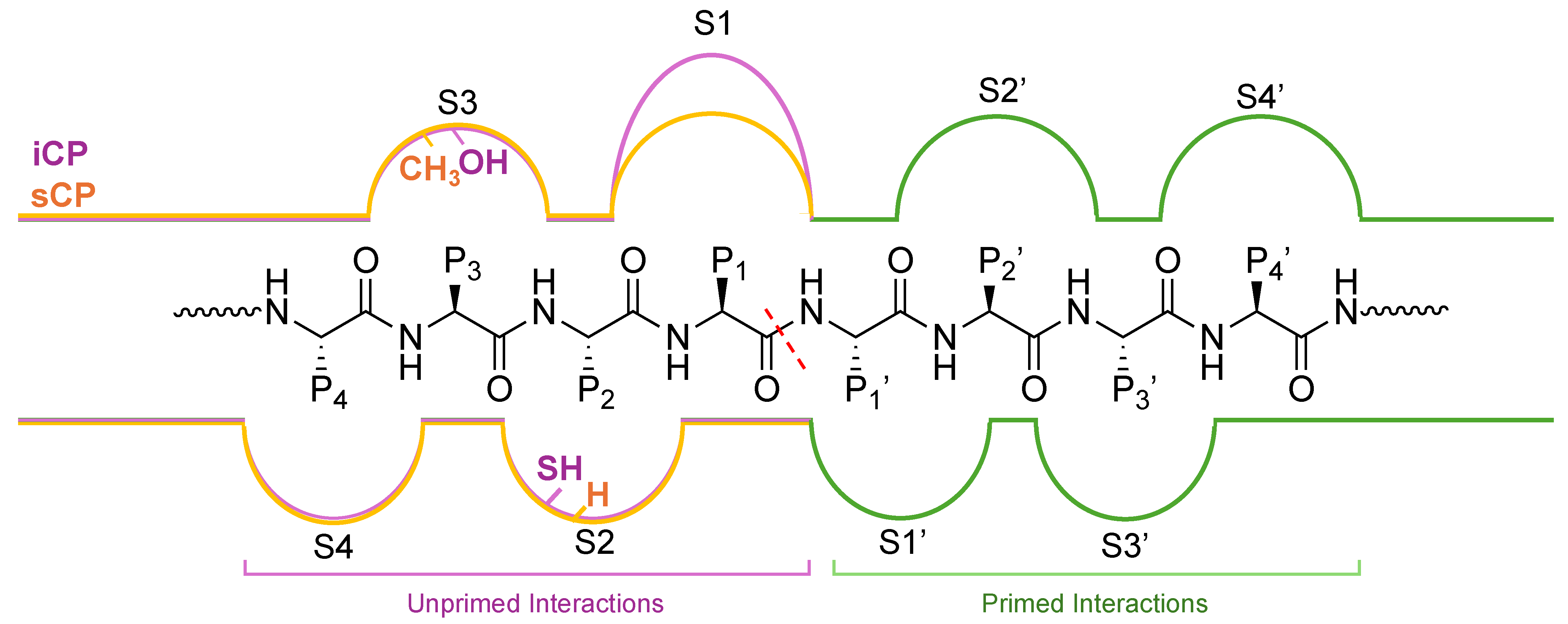 Molecules 29 03356 g005