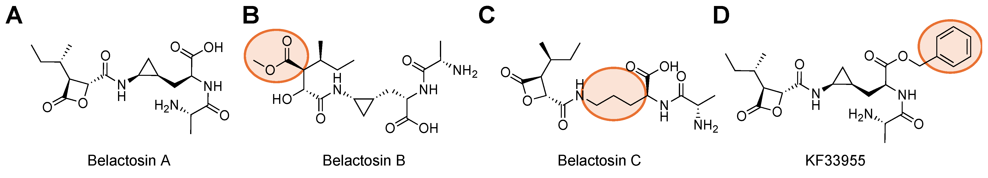 Molecules 29 03356 g006