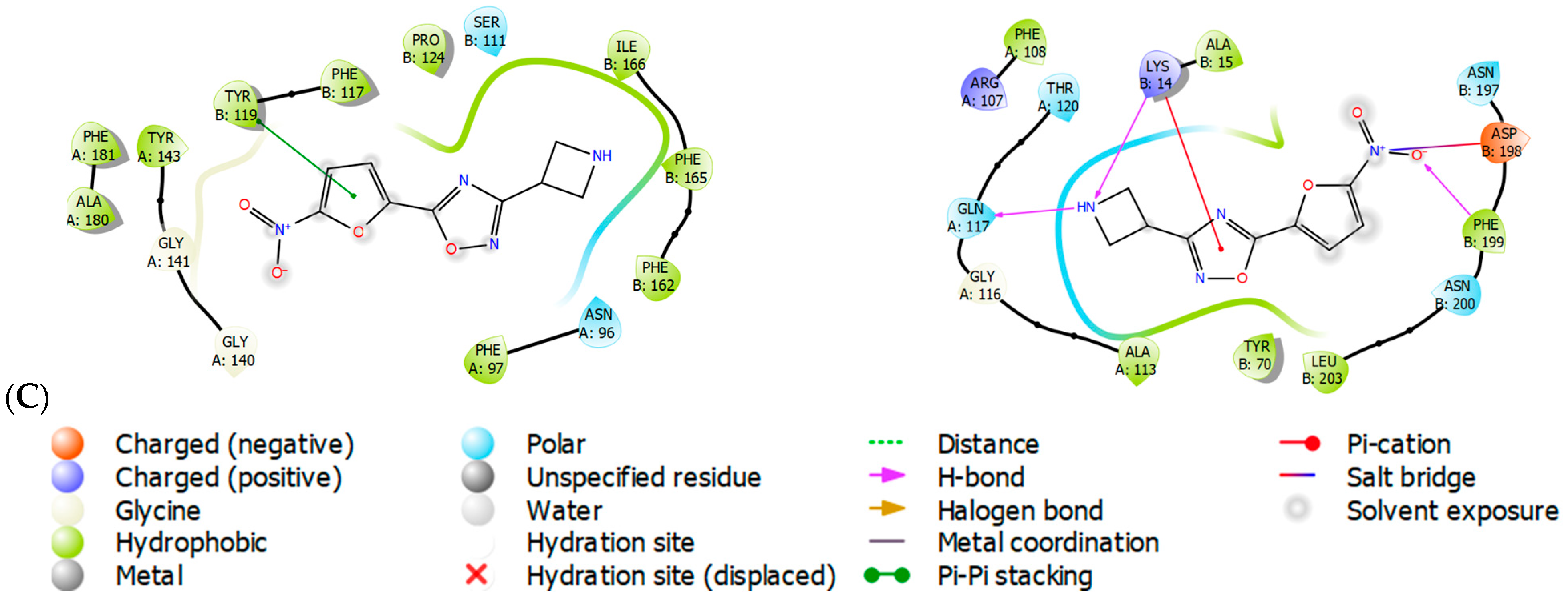 Molecules 29 03364 g002b