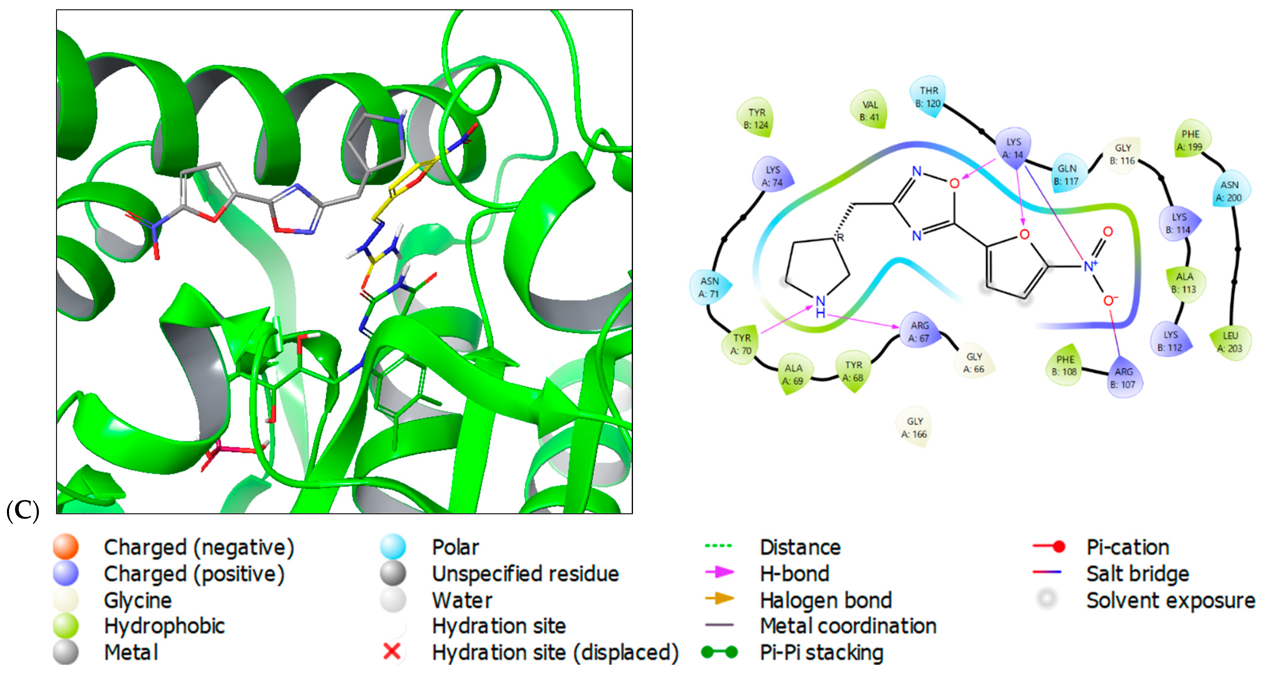 Molecules 29 03364 g004b