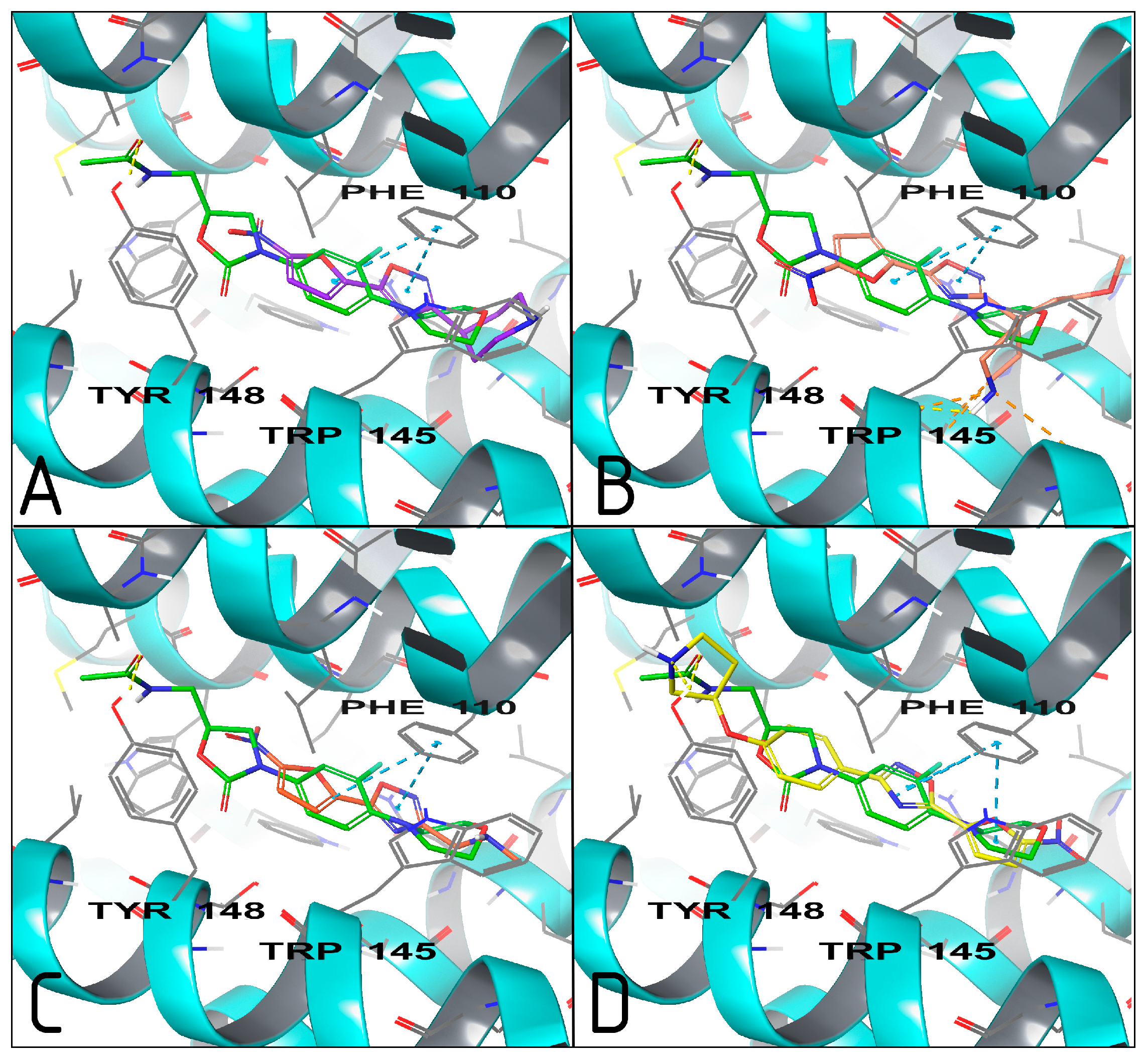 Molecules 29 03364 g006