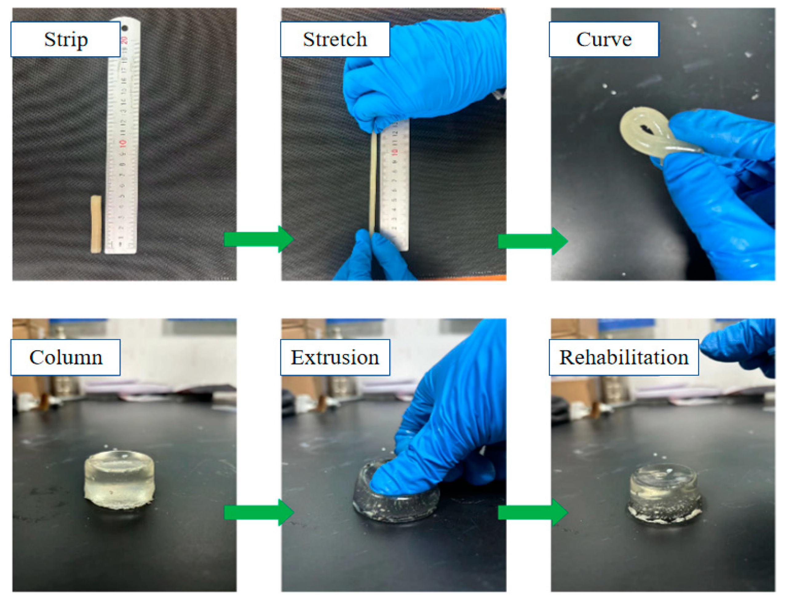 Molecules 29 03365 g008