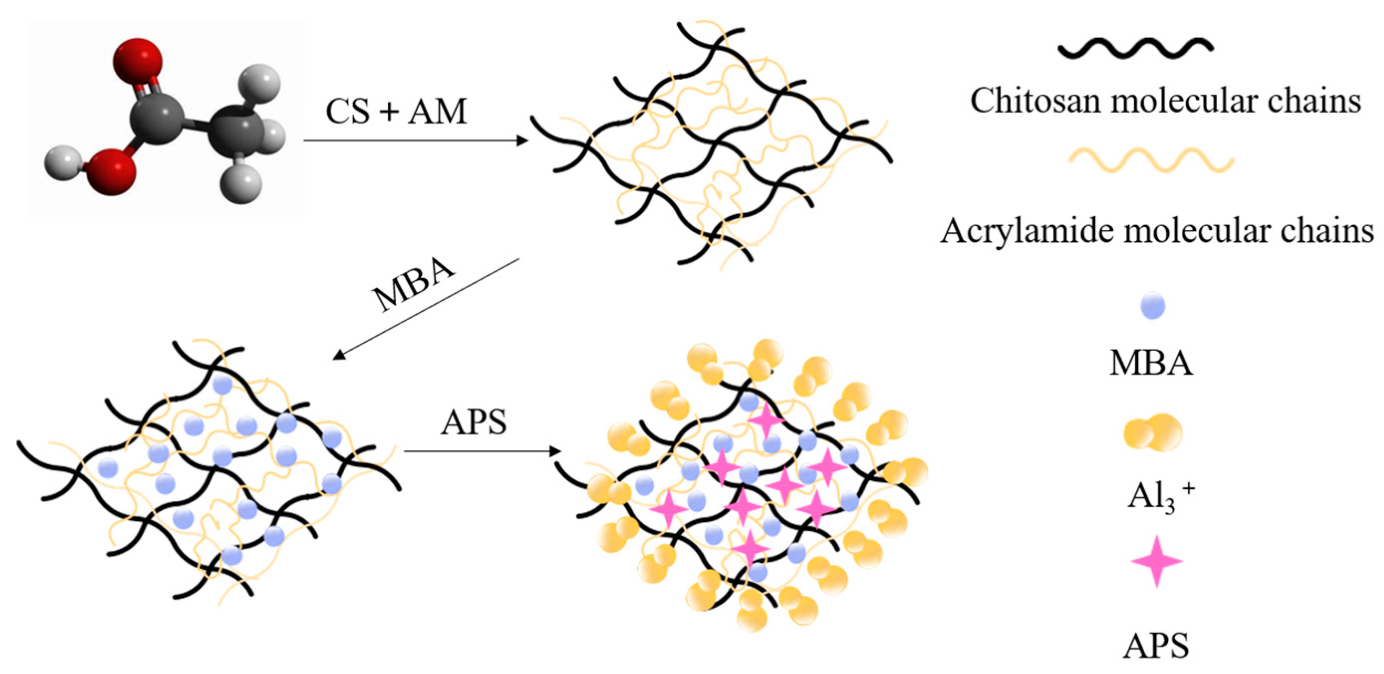 Molecules 29 03365 g017