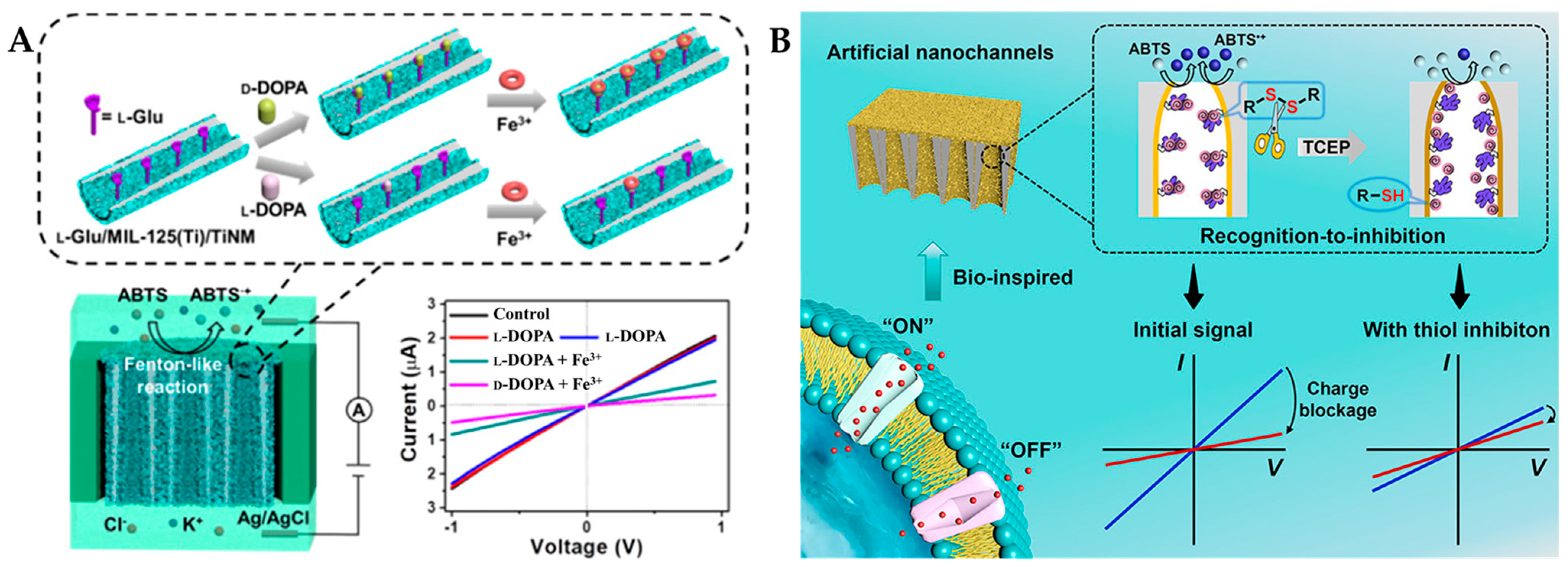 Molecules 29 03376 g007