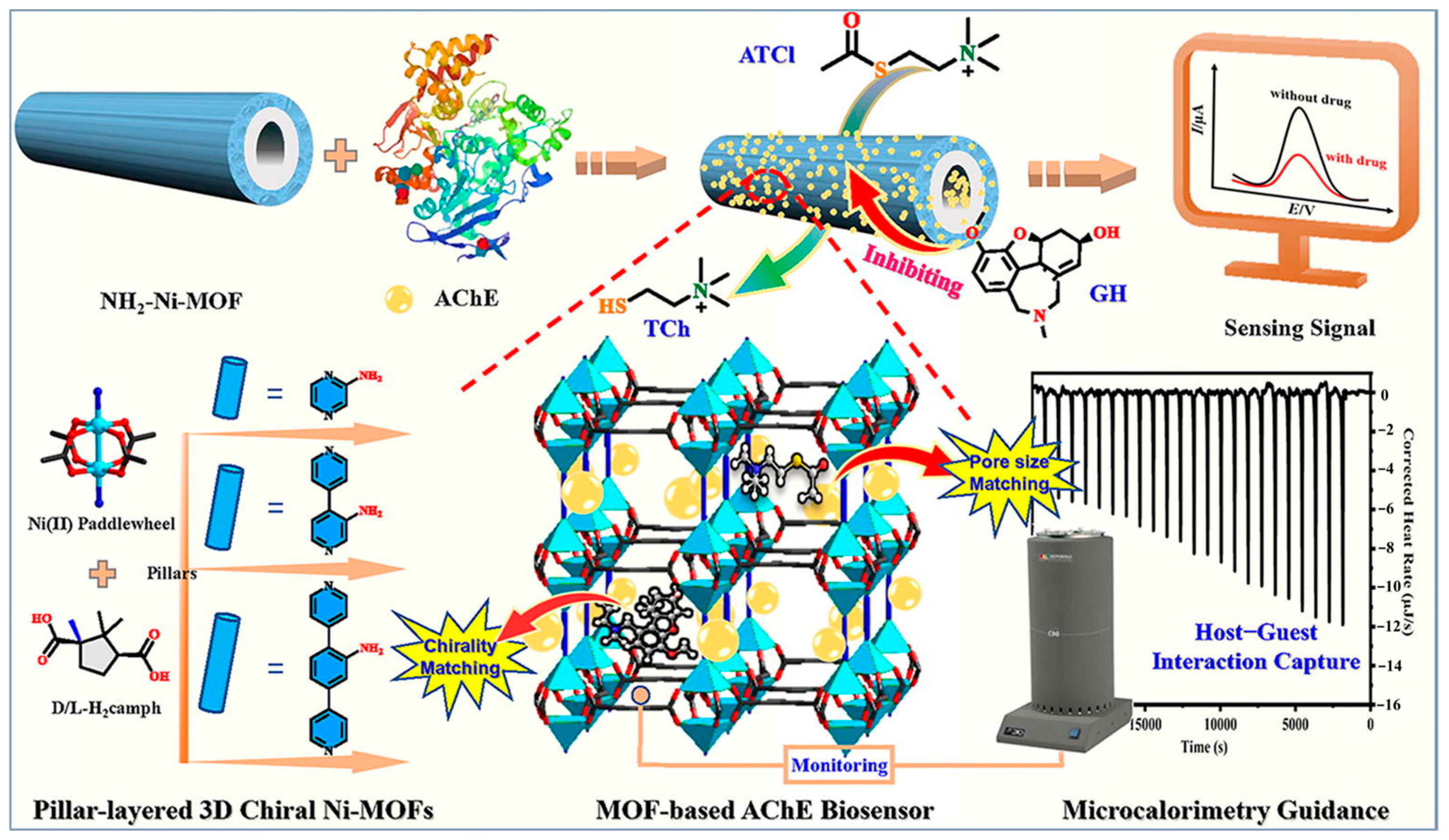 Molecules 29 03376 g008