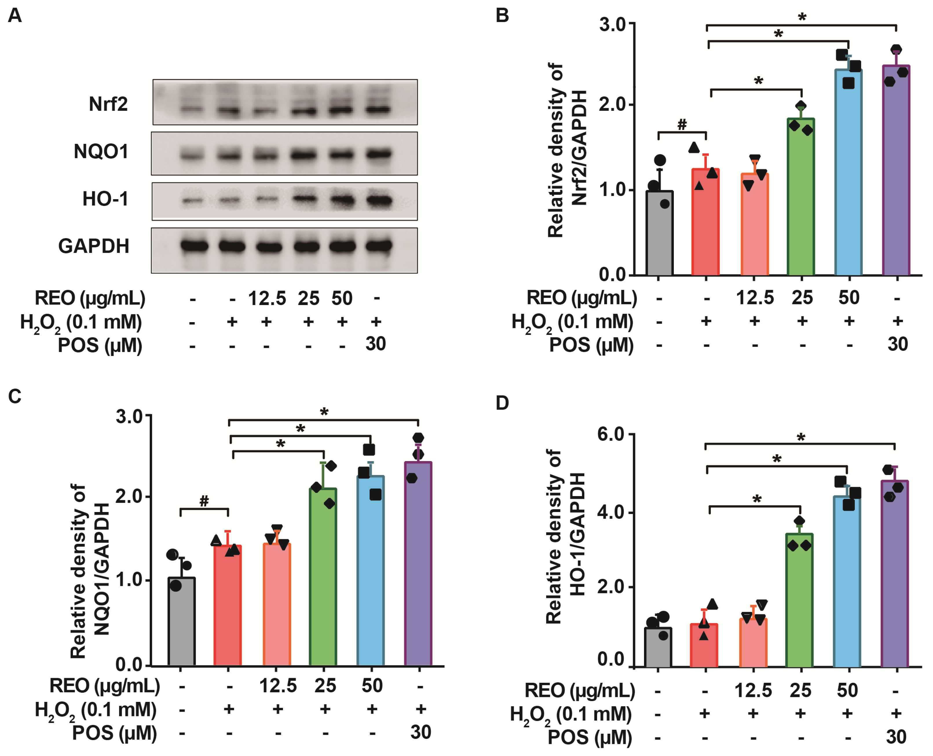 Molecules 29 03382 g004