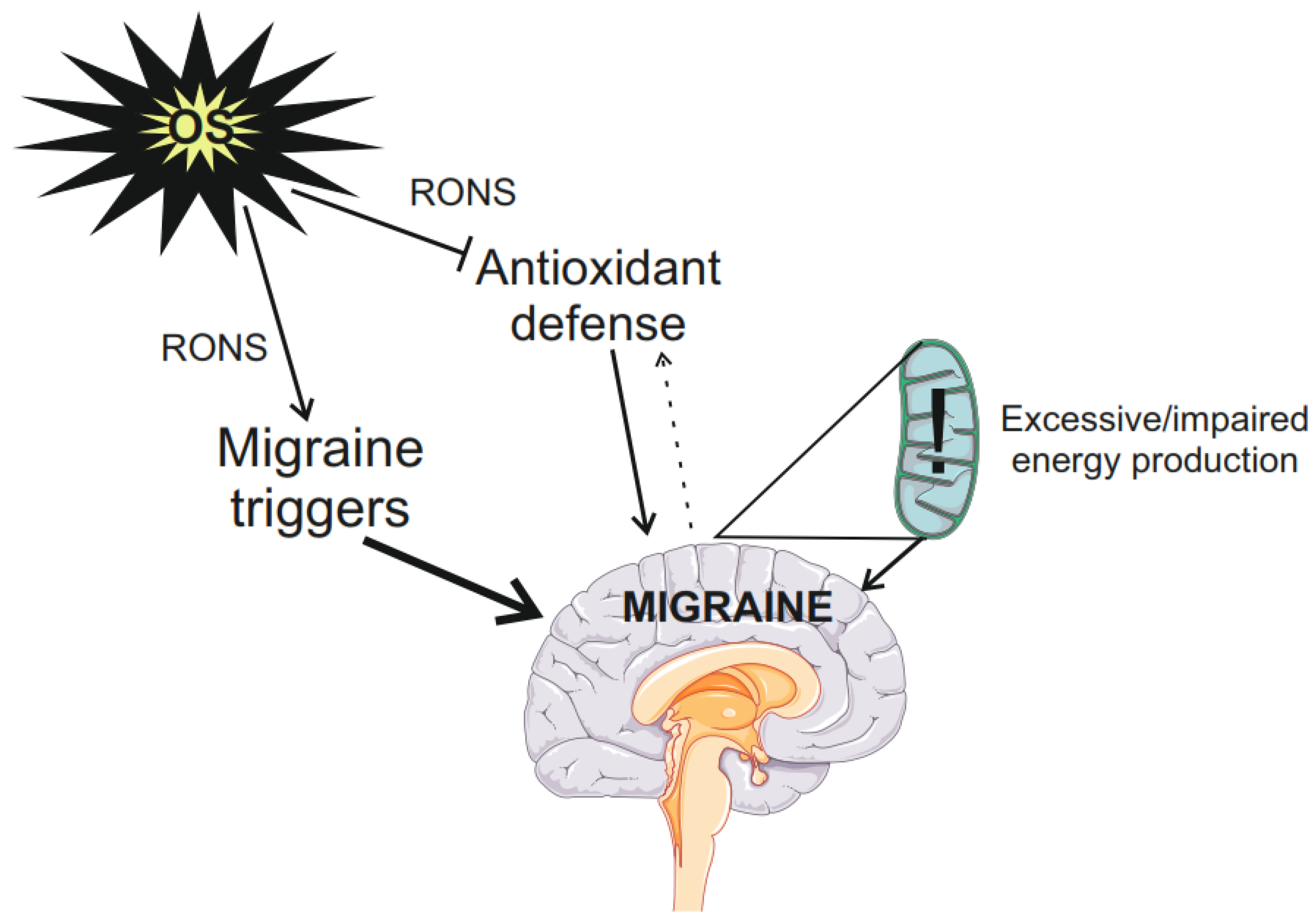 Molecules 29 03385 g001