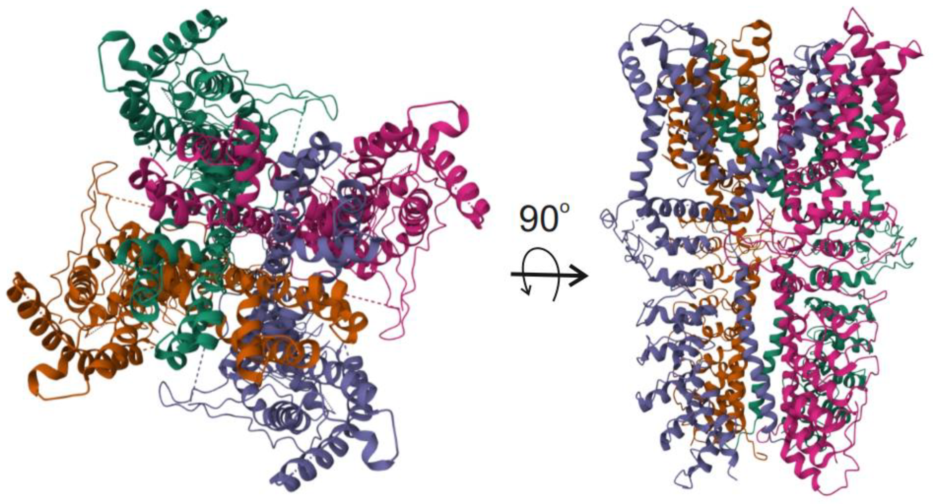 Molecules 29 03385 g002